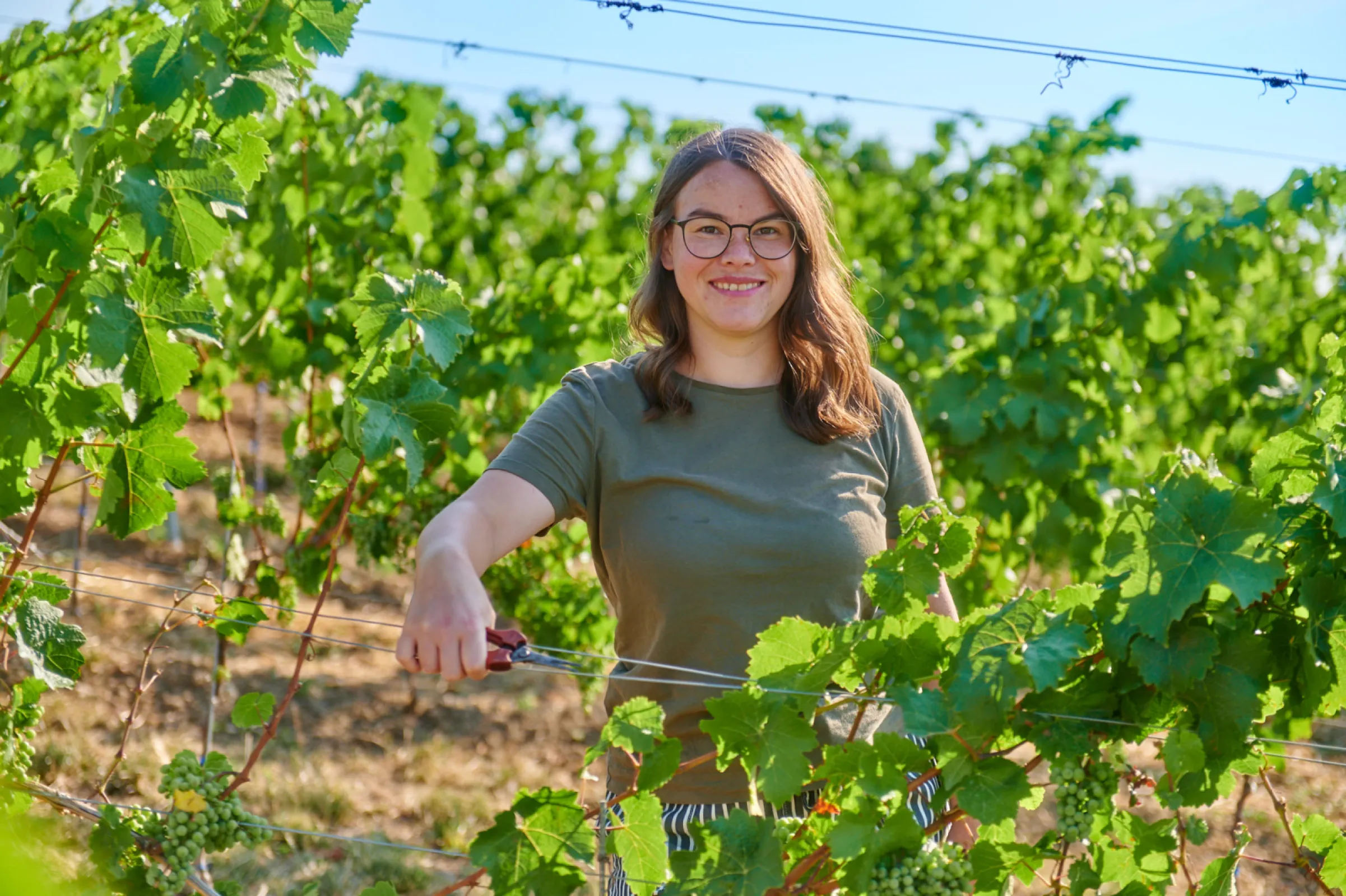 Charlotte Meiser - Winemaking & Sales