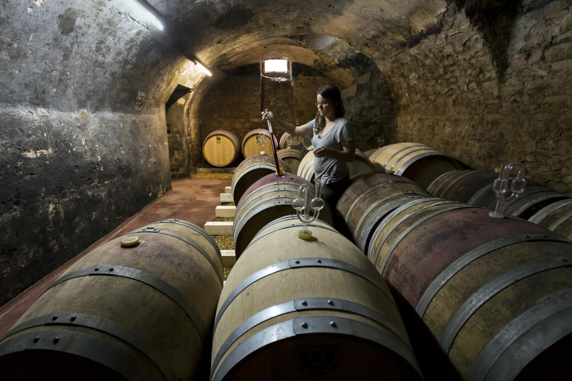 The best pinot noirs mature in the historic barrique cellar in oak barrel.