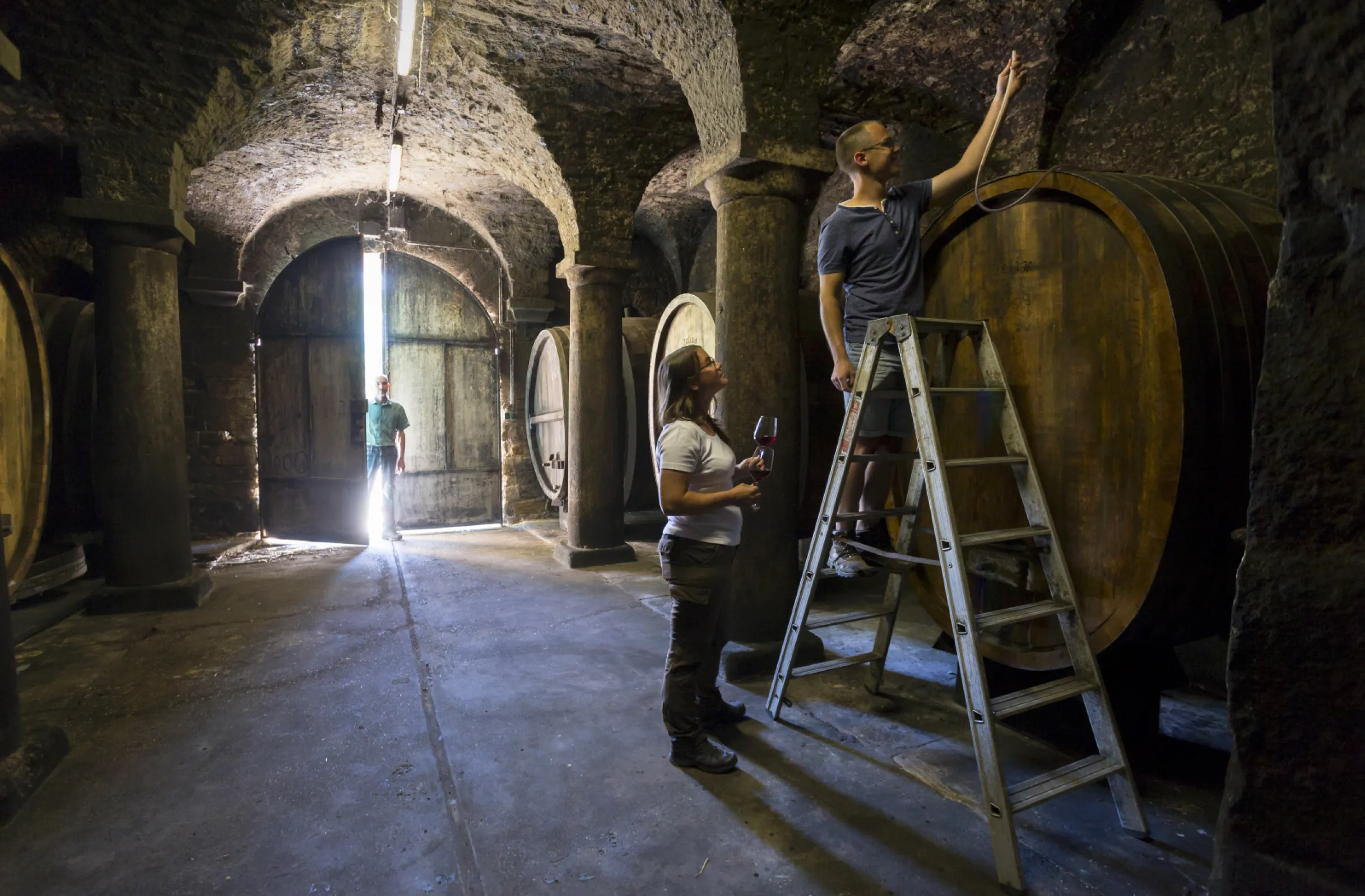 Time is a luxury we value for our wines. To ensure they reach the glass precisely when they have reached their optimal drinking maturity, a few Rieslings and Pinot Noirs are allowed to mature for several more years in our ice cellar before being released. Our ancient ice cellar was once hewn into the rock by hand. The exposed rock walls ensure the cellar always maintains the optimal temperature and humidity.