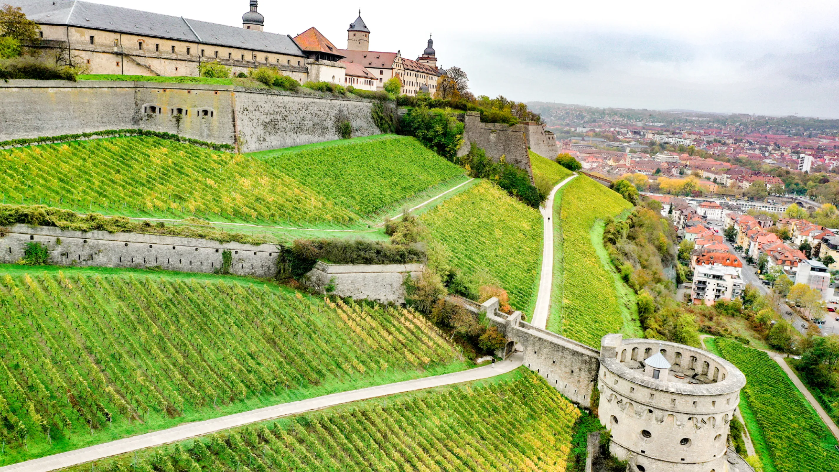 Our famous vineyard Würzburger Innere Leiste below the Marienberg Fortress