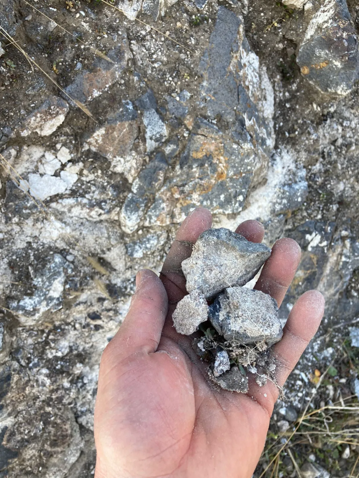 The unique terroir of the Kaiserstuhl -volcanic and calcareous soil!