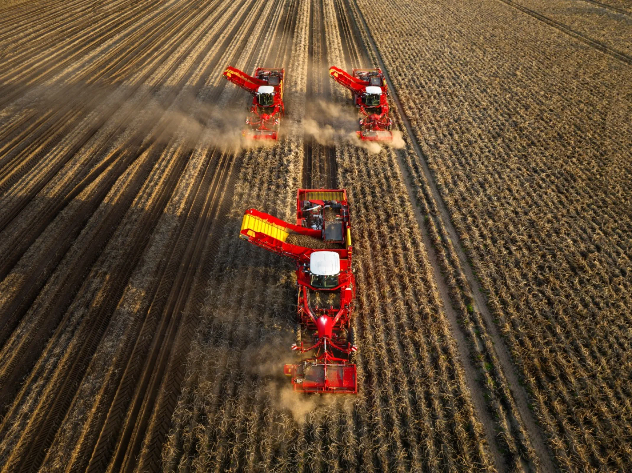 VARITRON 470: 4-row, 7 t NonstopBunker, high separation, wheels, 460 HP