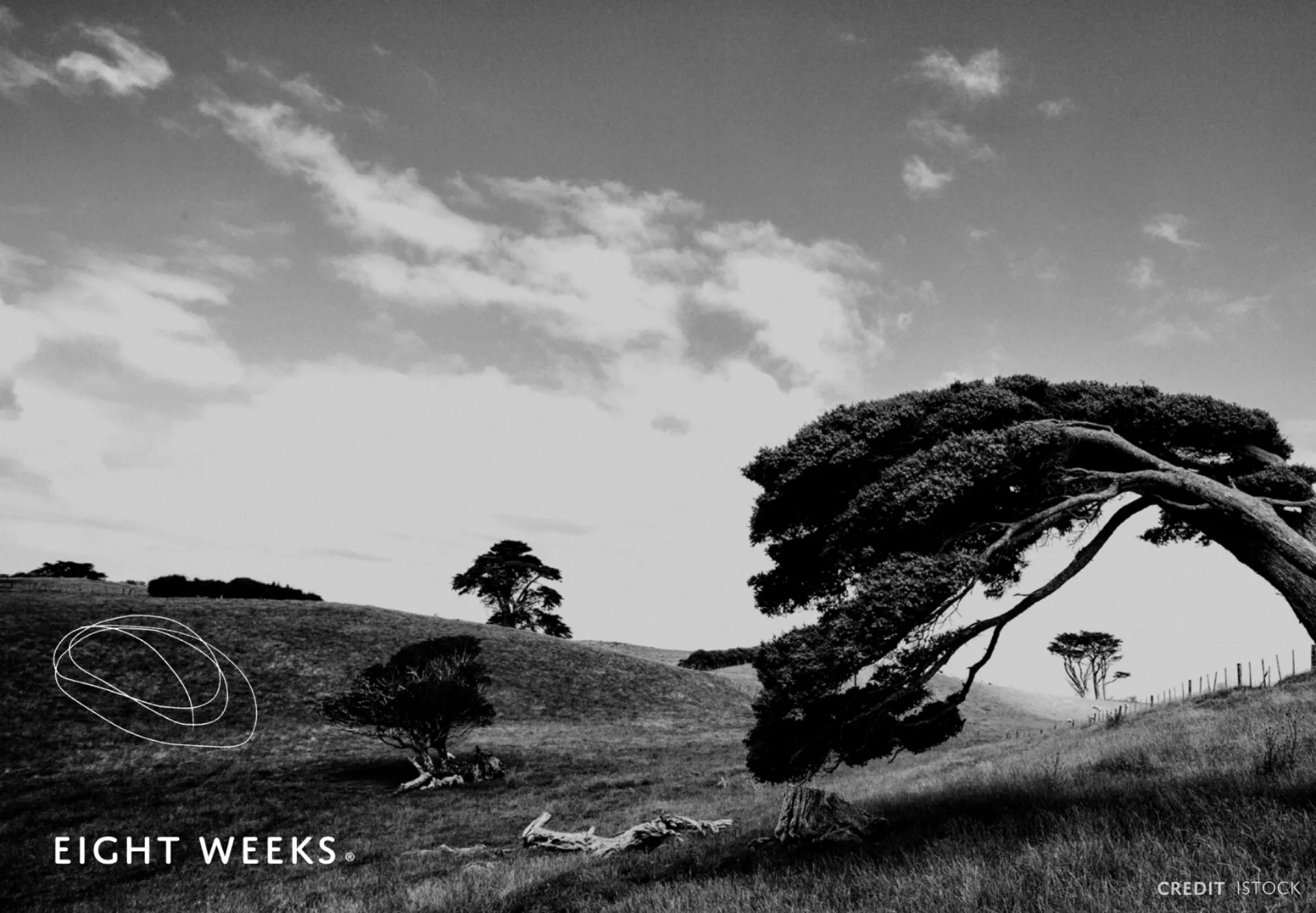 Scalp Harmonization for Healty Hair Growth