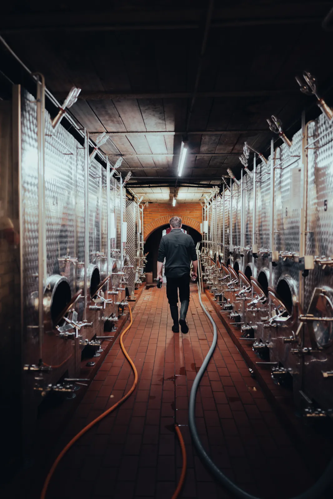 The oldest part of our winecellar, built in 1958