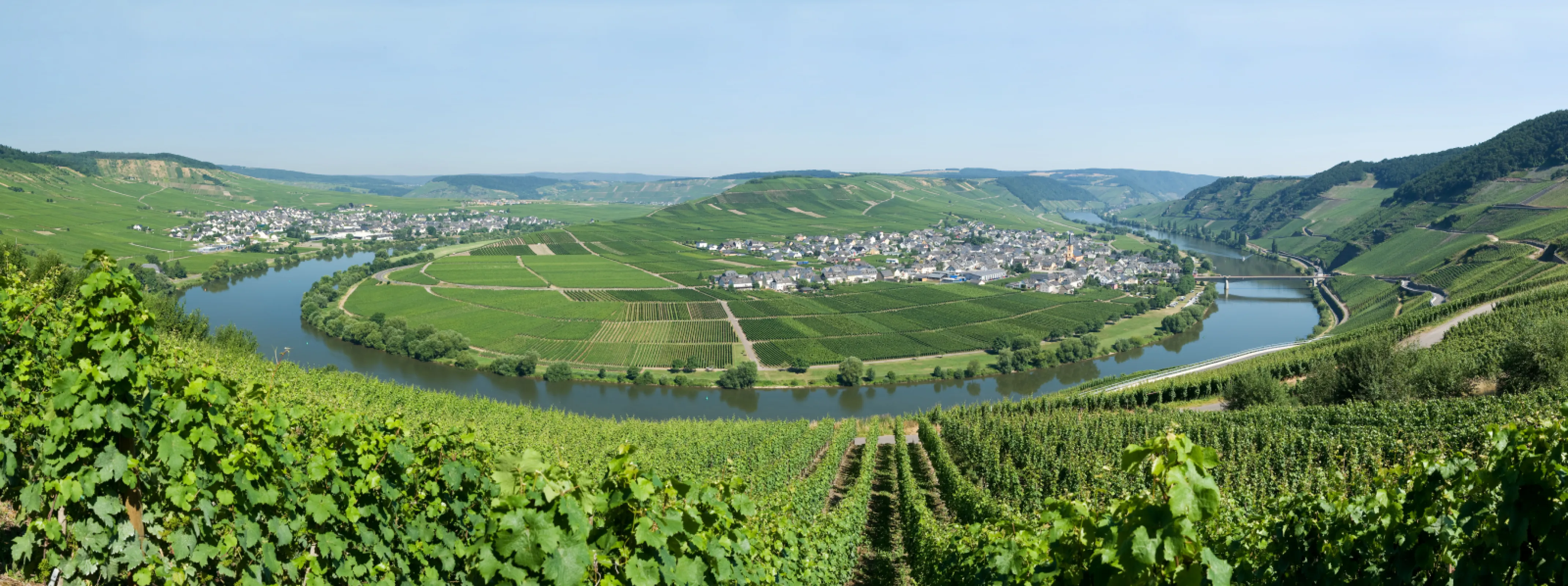 A amazing bird view of the Village Trittenheim