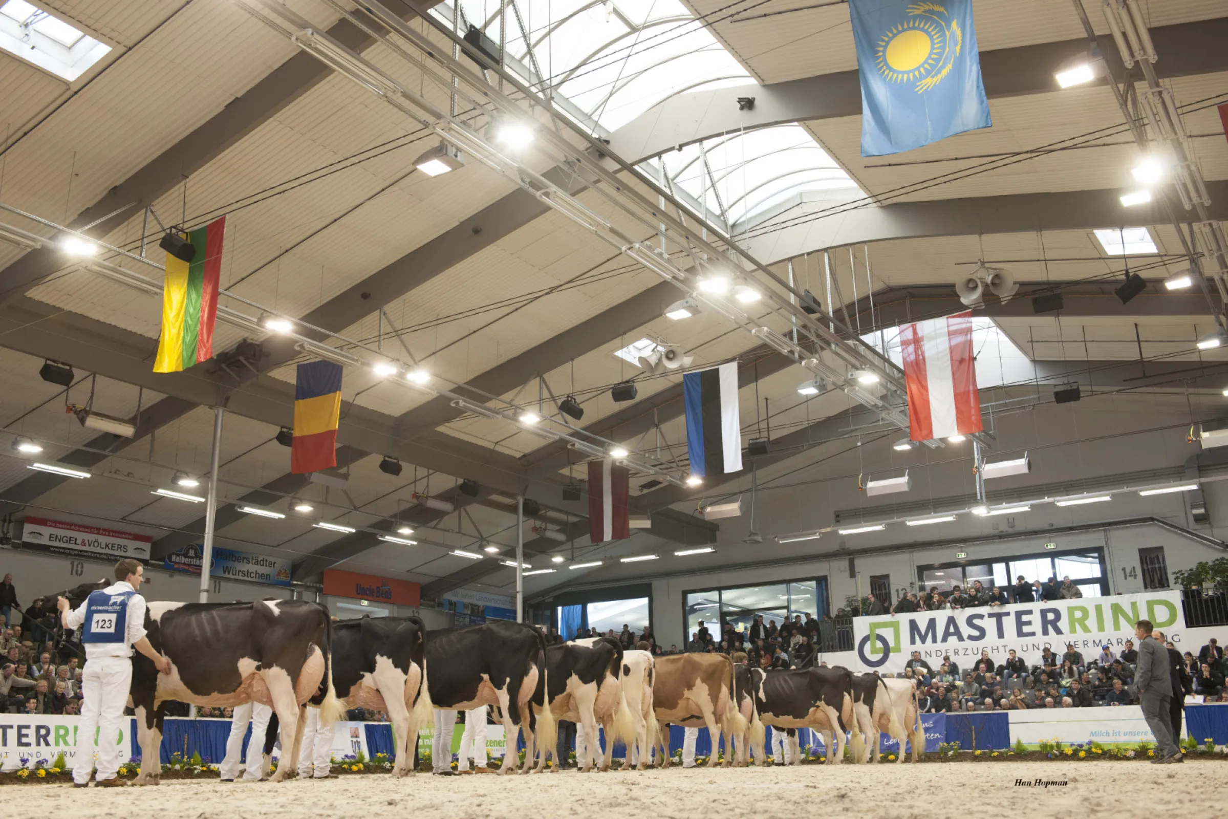 "Show of the Best" MASTERRIND