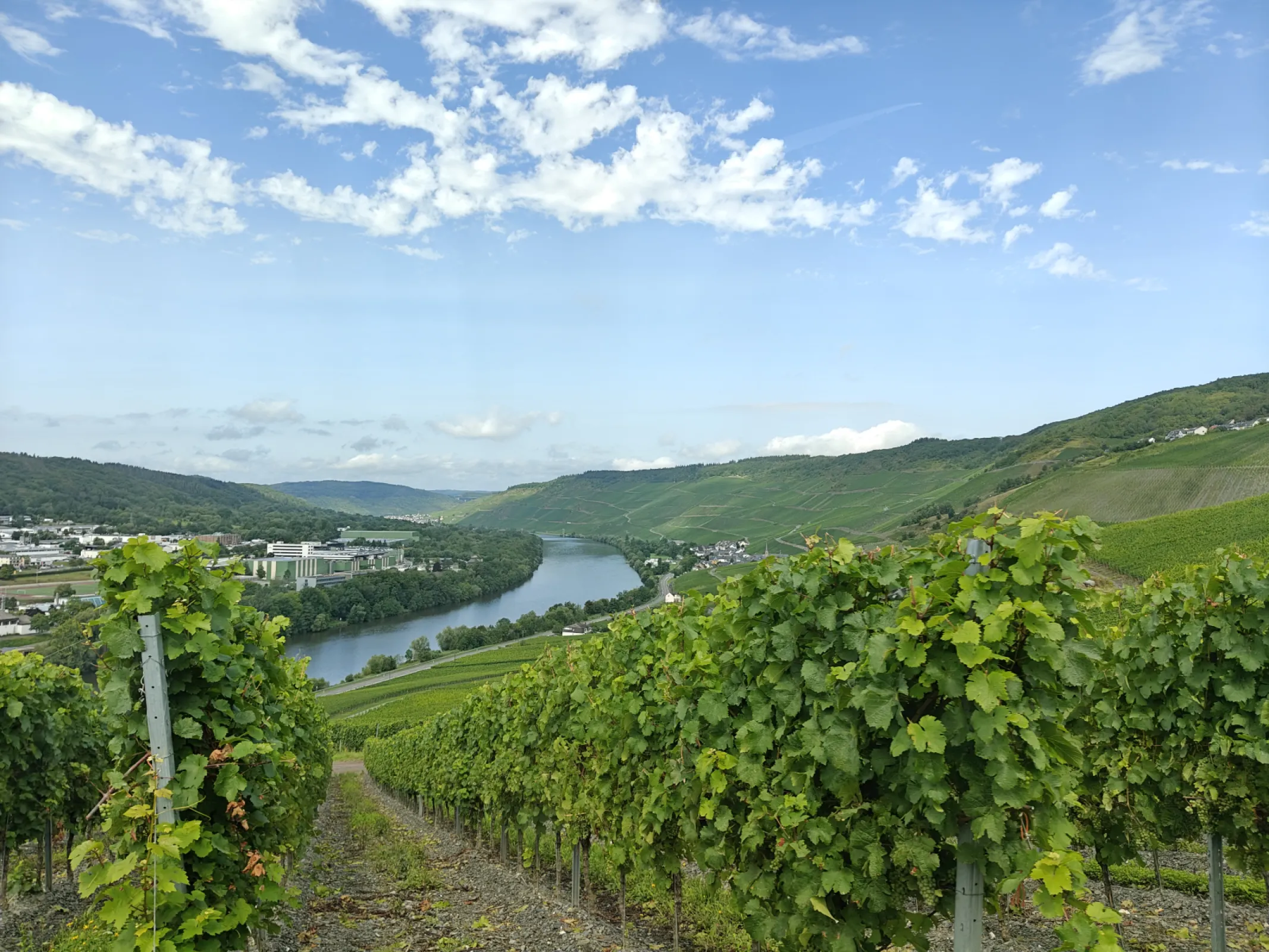 Bernkasteler Badstube