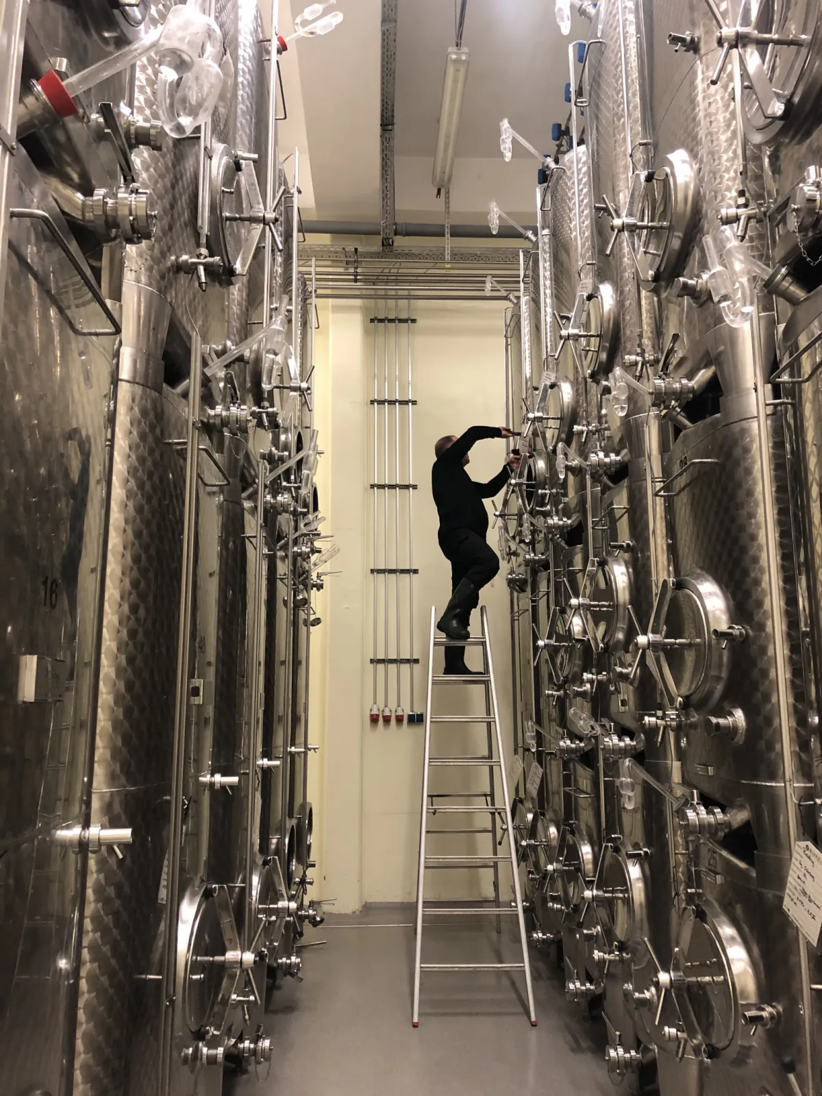 Weingut Riffel Cellar