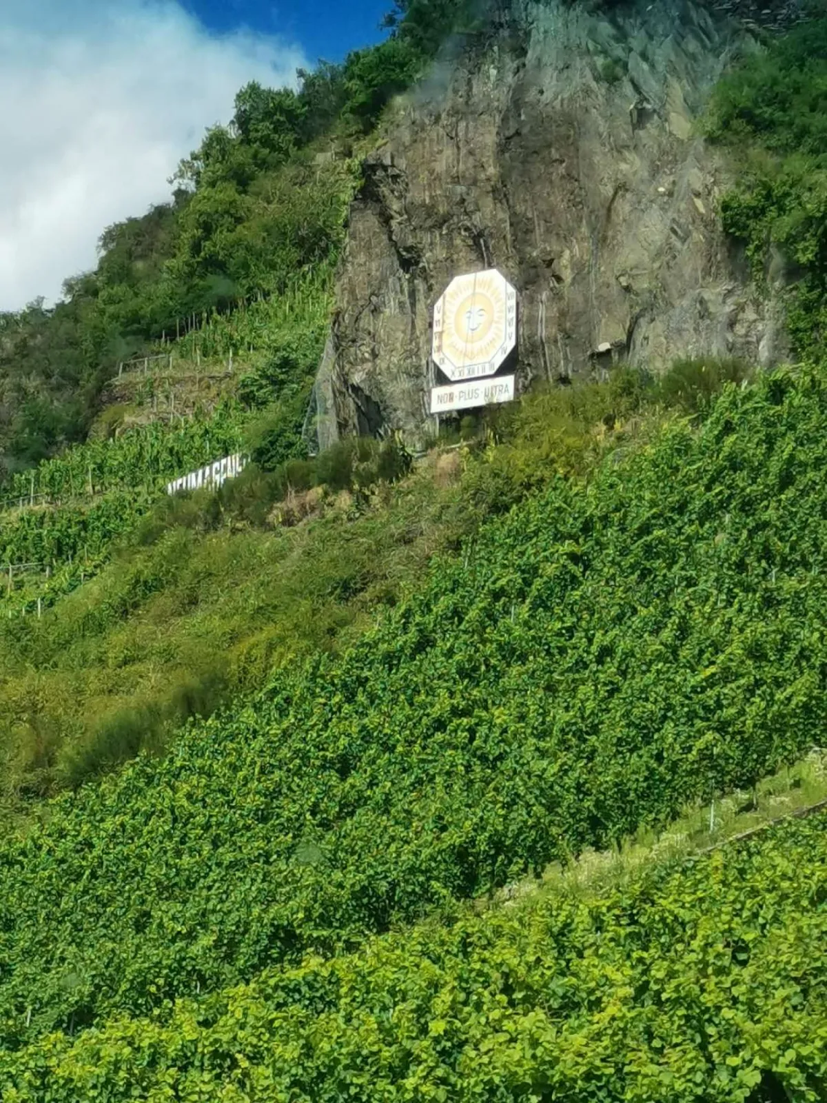 Neumagener Rosengärtchen