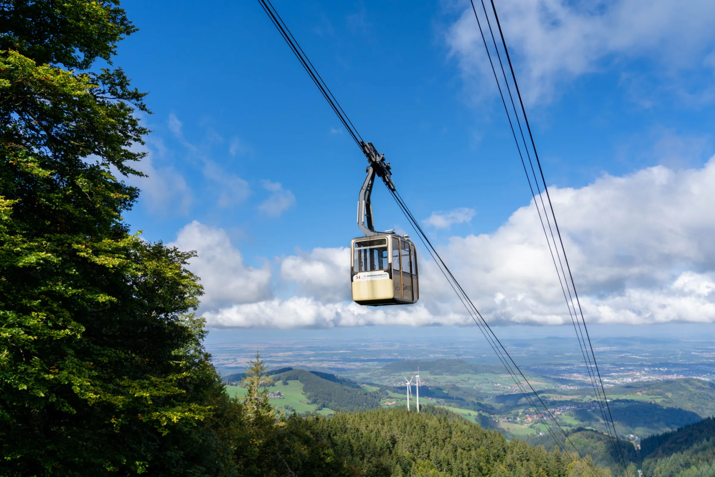 Black Forest starts in the City Centre
