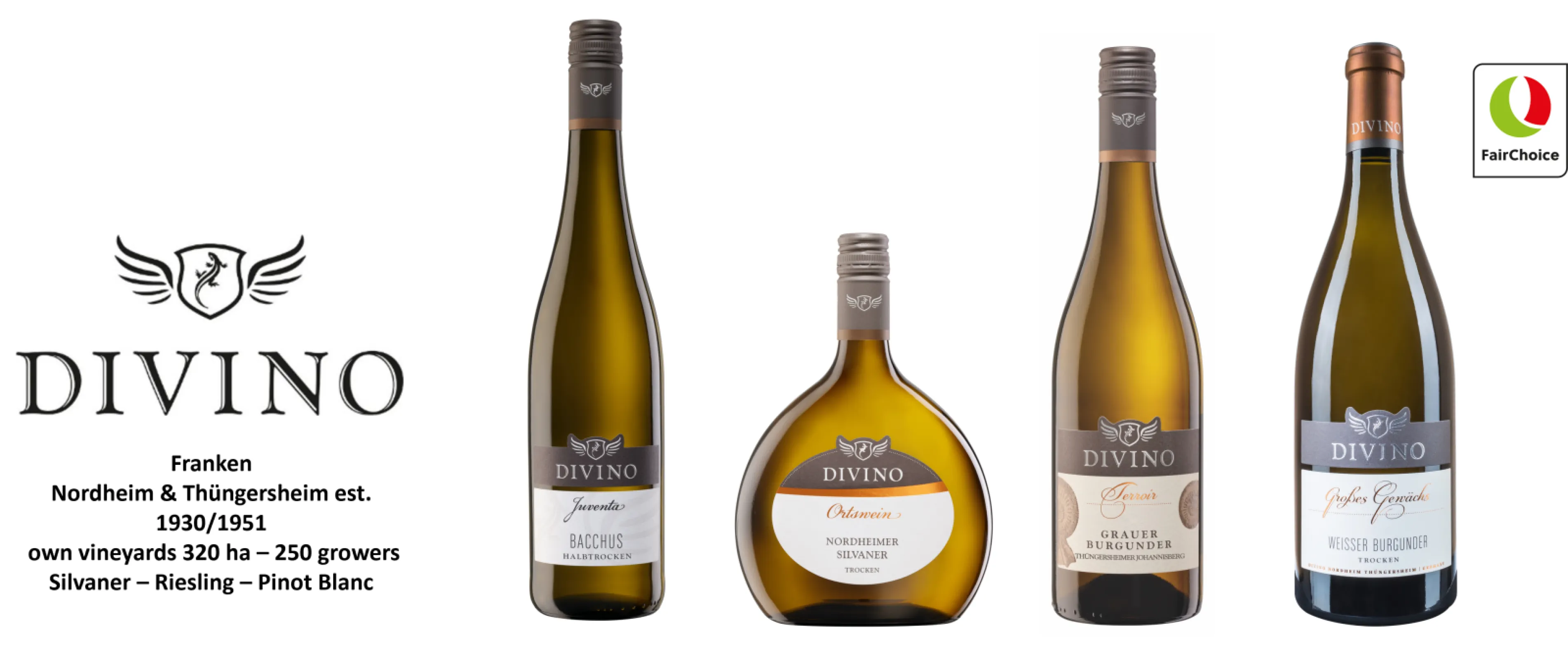 DIVINO