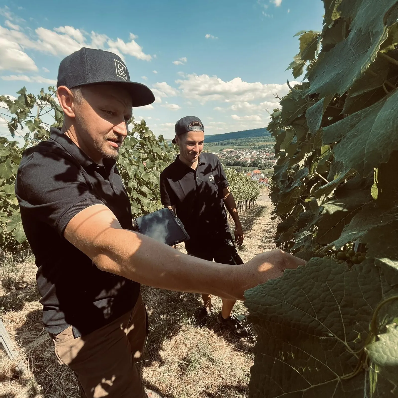 C&G Winzer monitoring the vineyards
