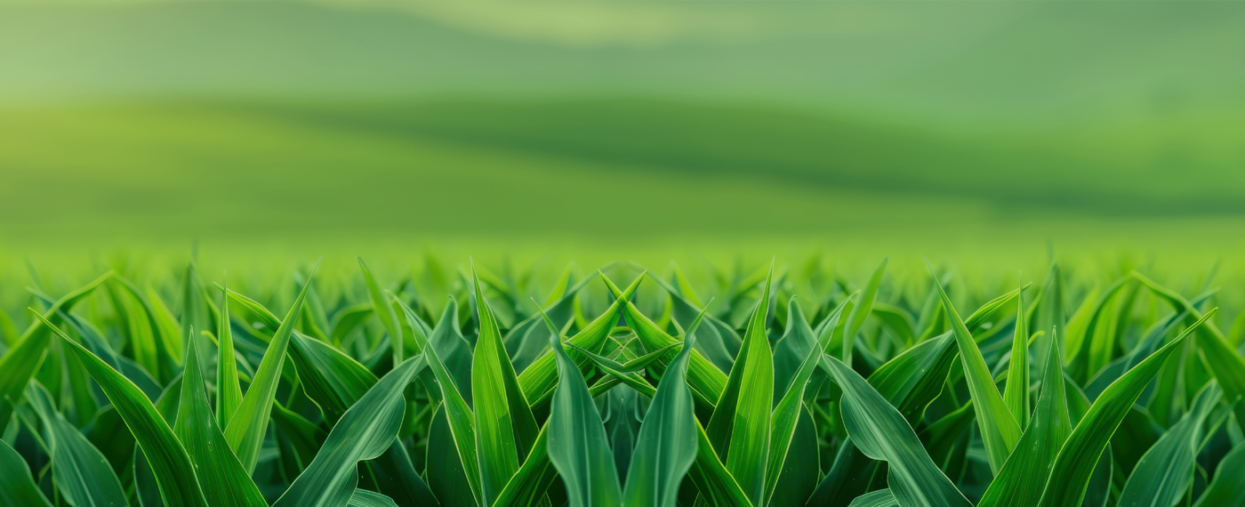 German Pavilion @ GROWTECH. ANTALYA 2025