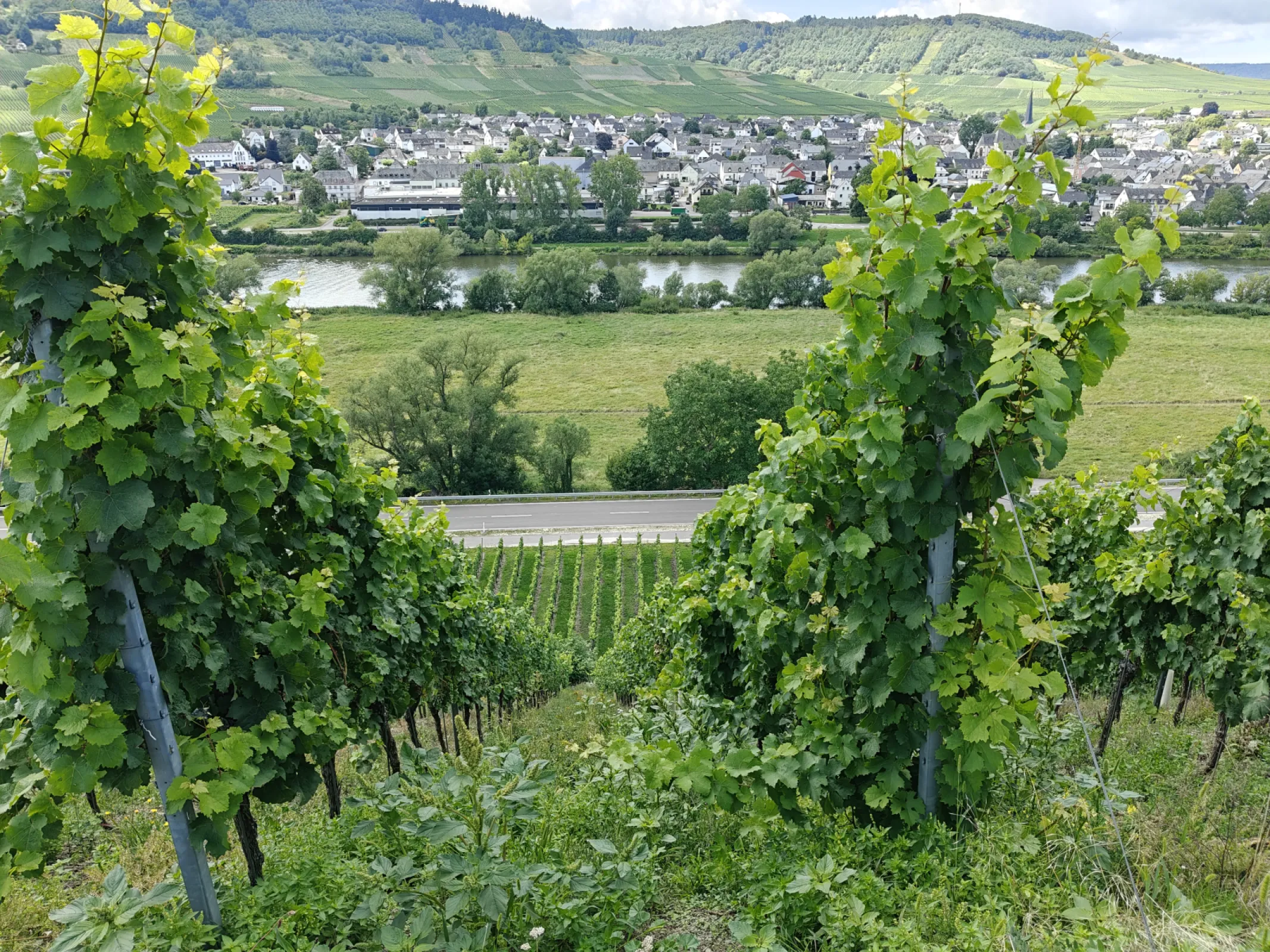 Graacher Himmelreich