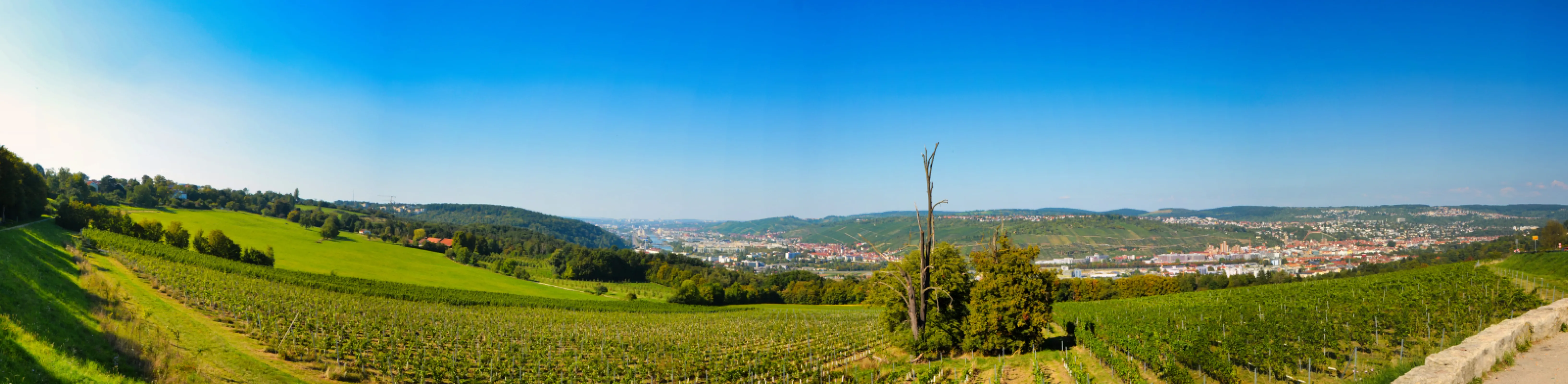 Overview over our Vineyards