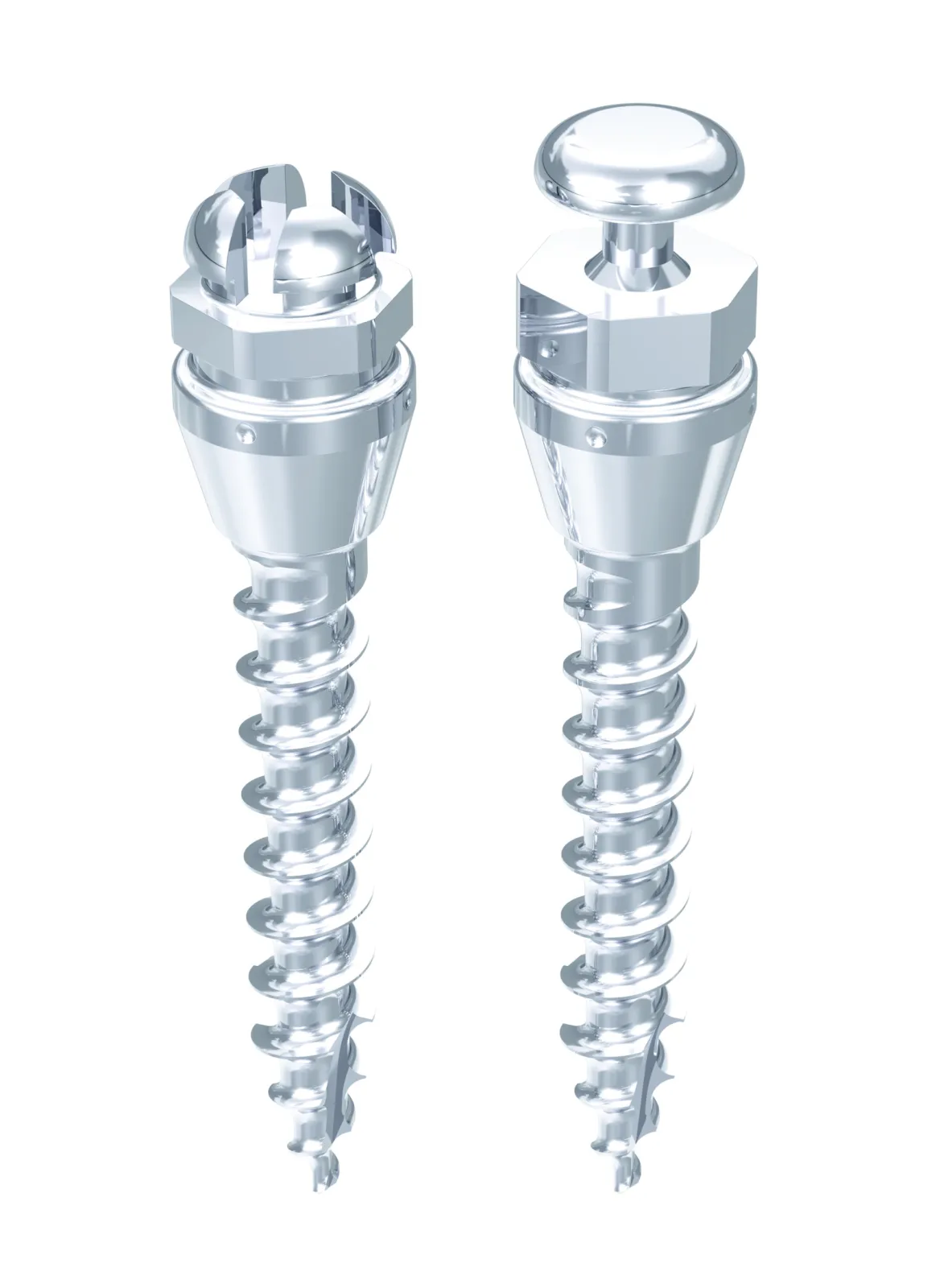 The tomas® anchorage system: tomas®-pin SD and EP.