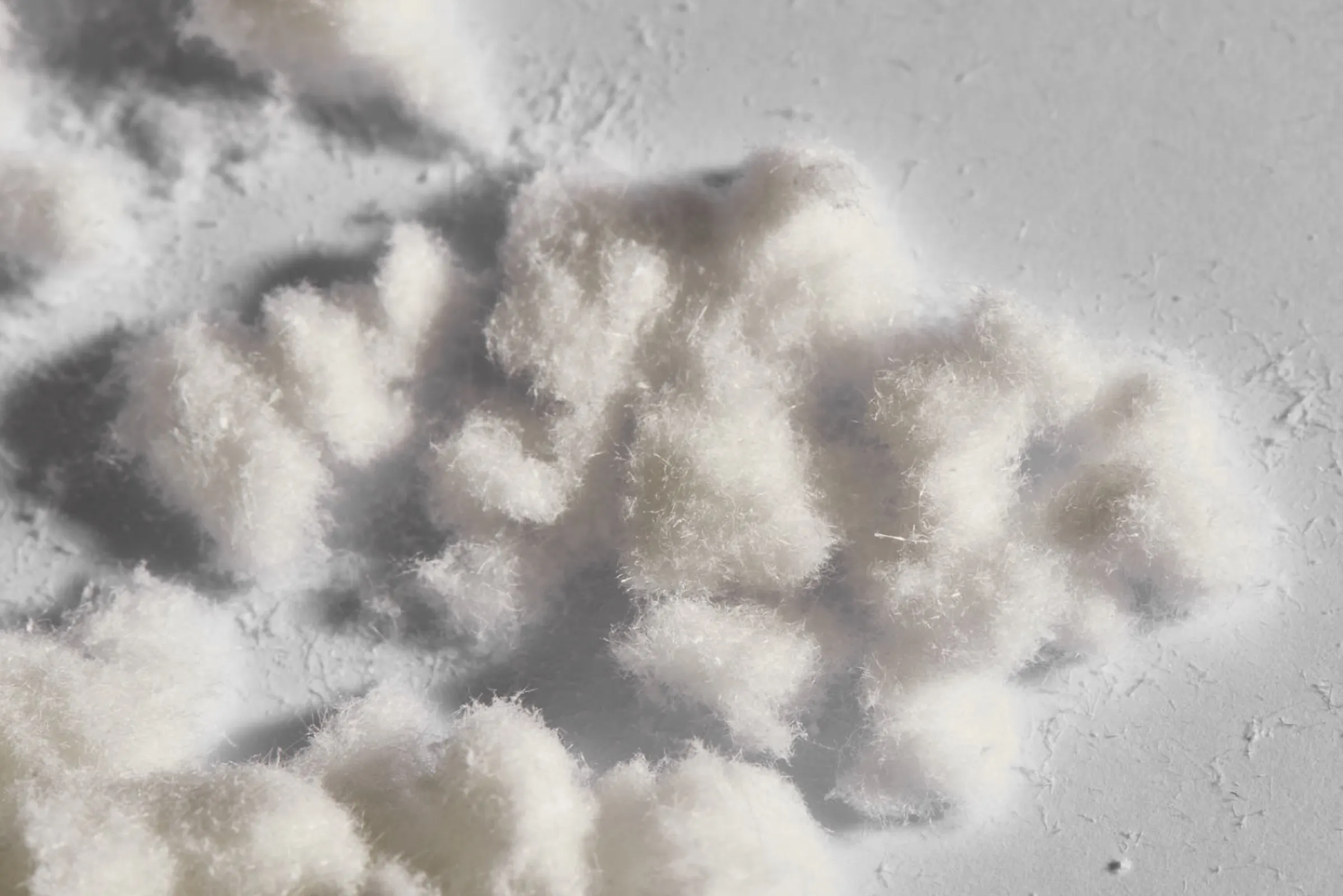 Polyacrylonitrile Fibre Filler