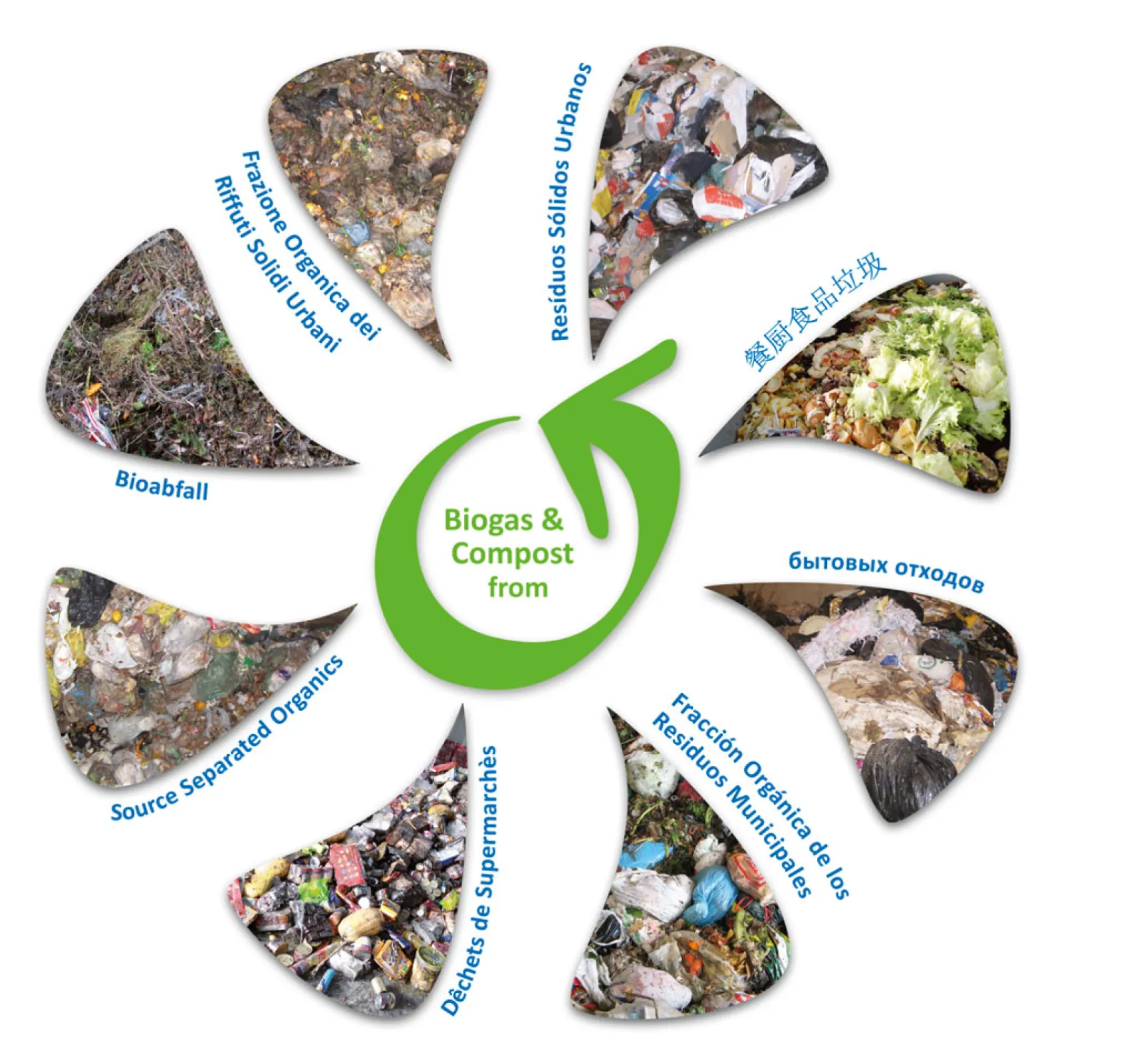 High Substrate Flexibility
