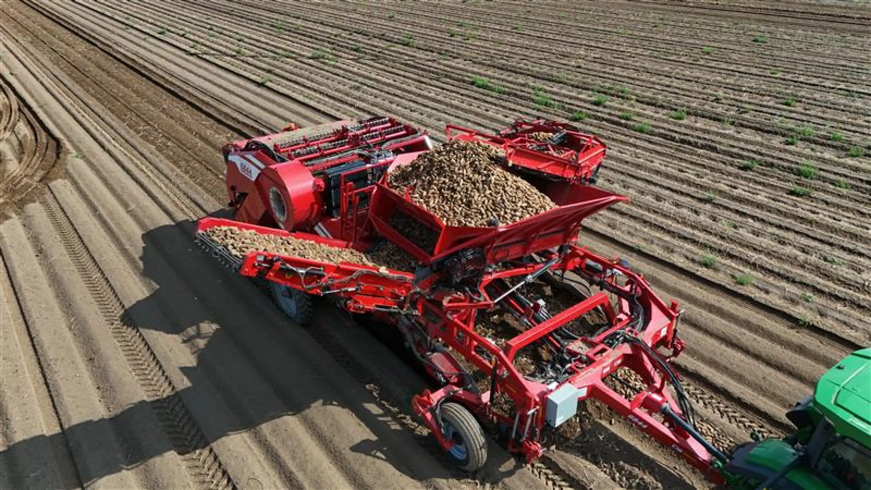 SPUDNIK Potato Harvester