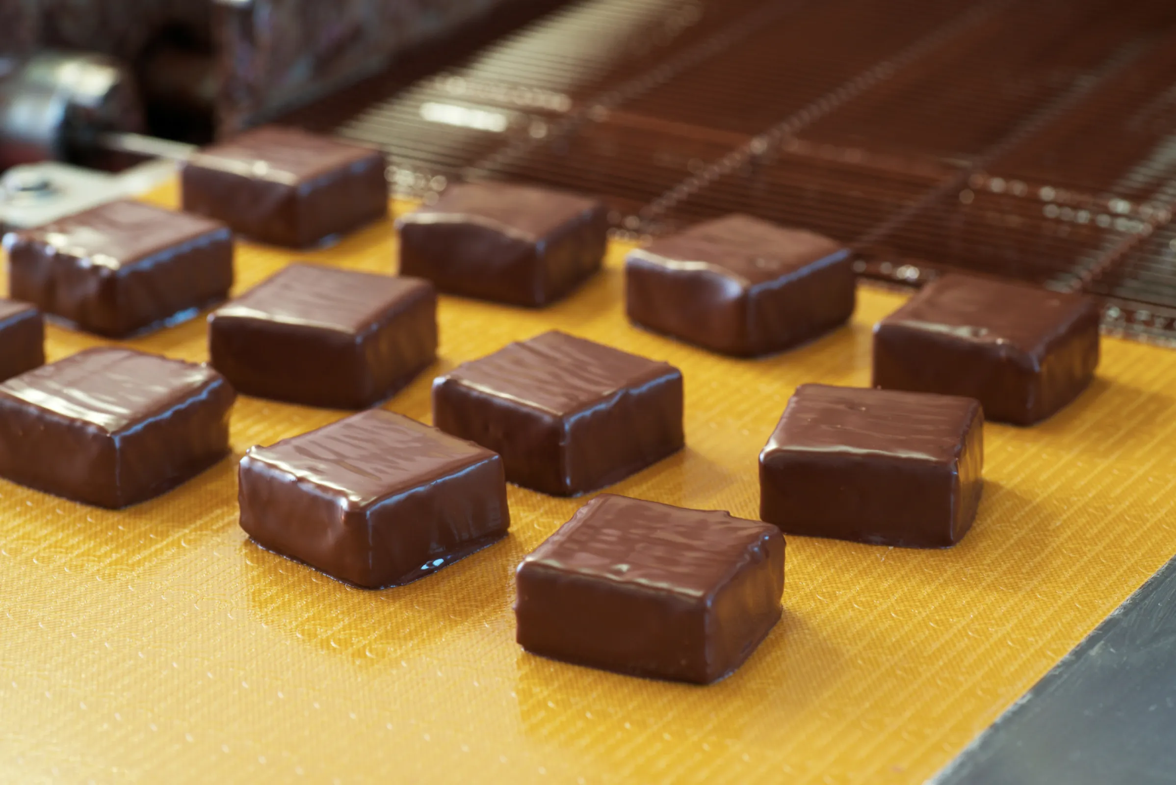 Conveyorbelts Chocolate Enrobing