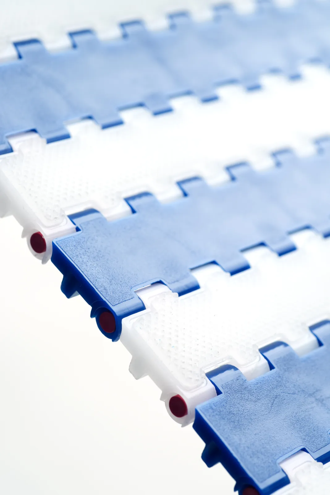 Plastic Modular Belt