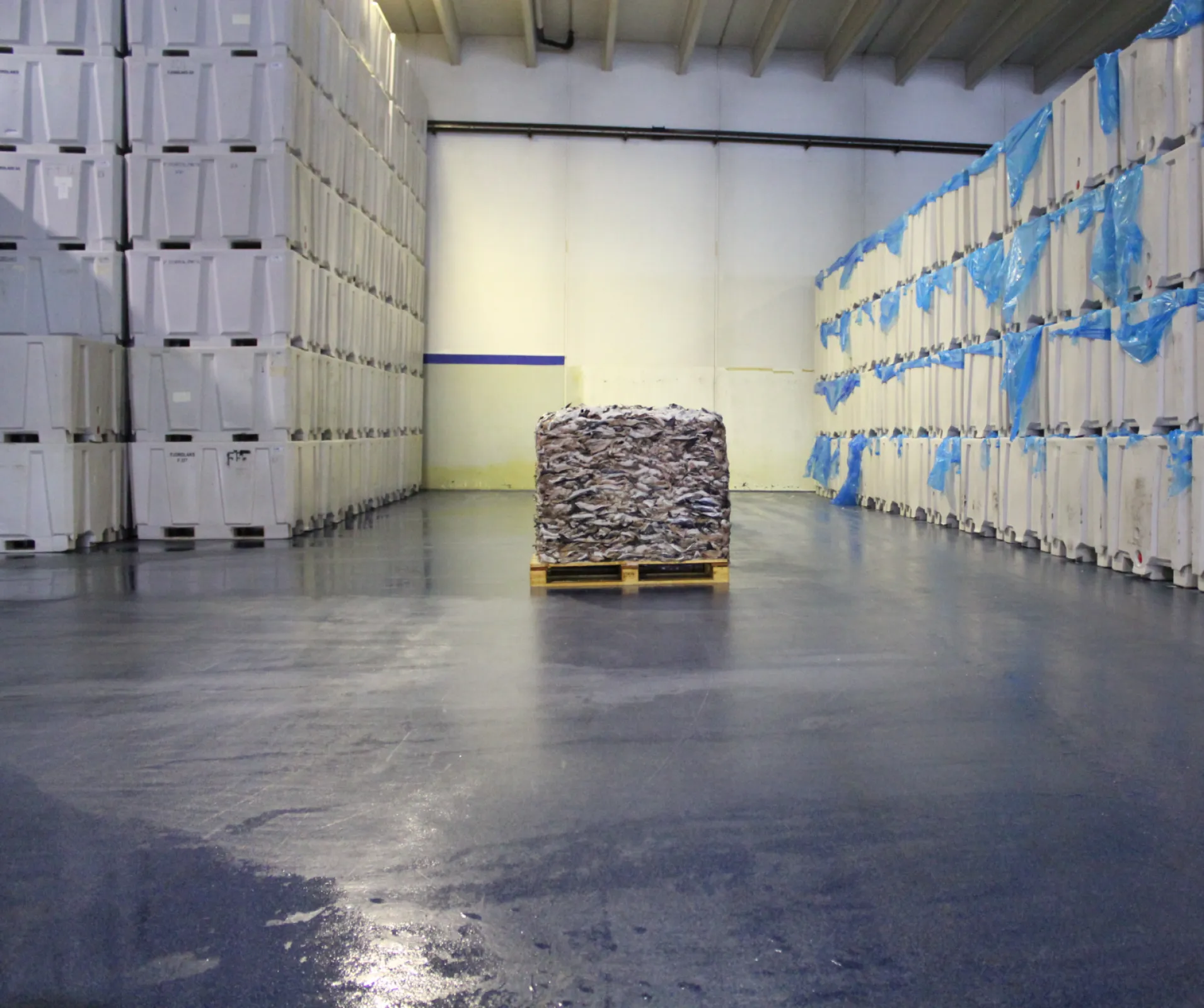 Acrylicon Décor System - Cold storage