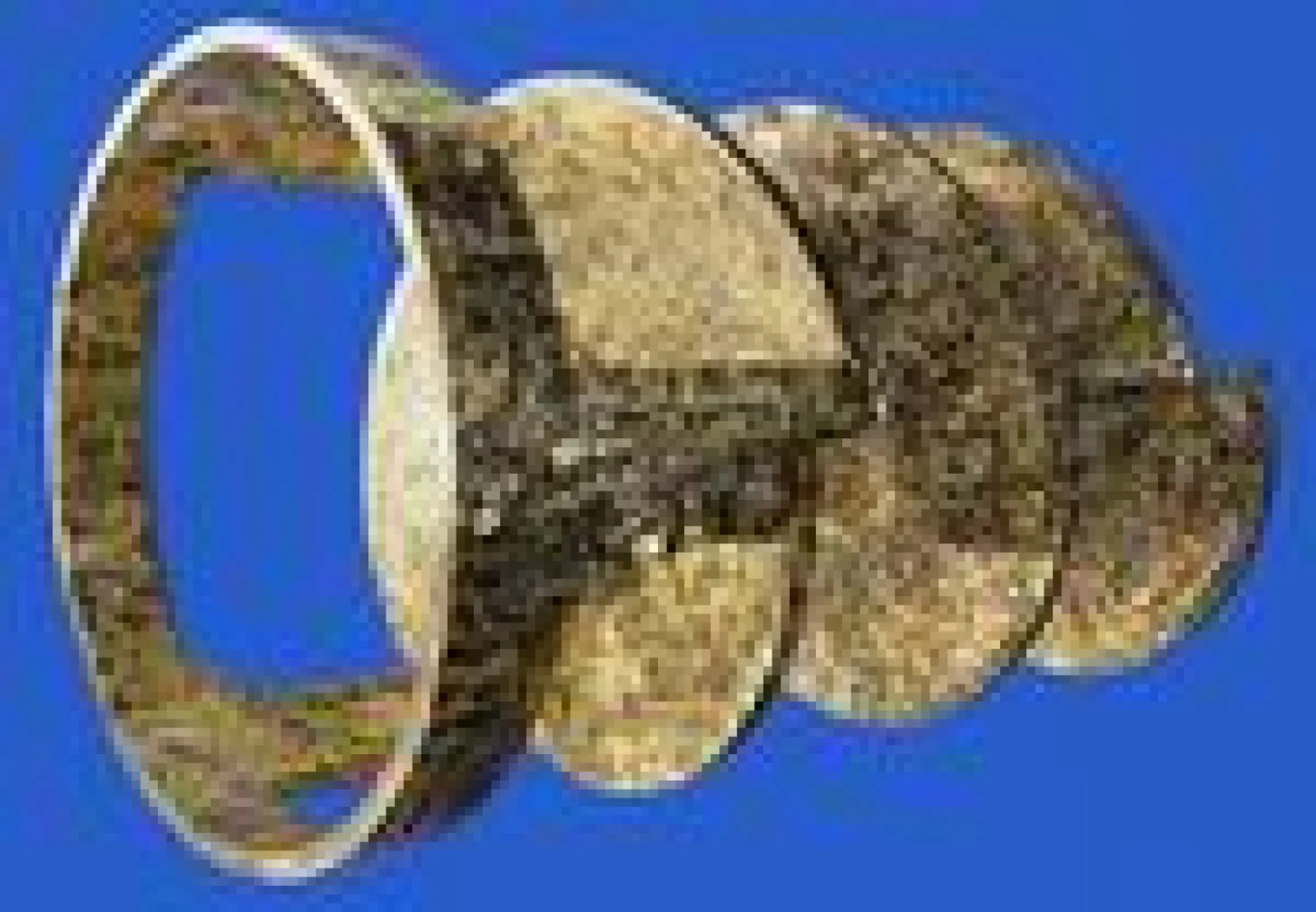 Extruder protected with Tungsten Carbide