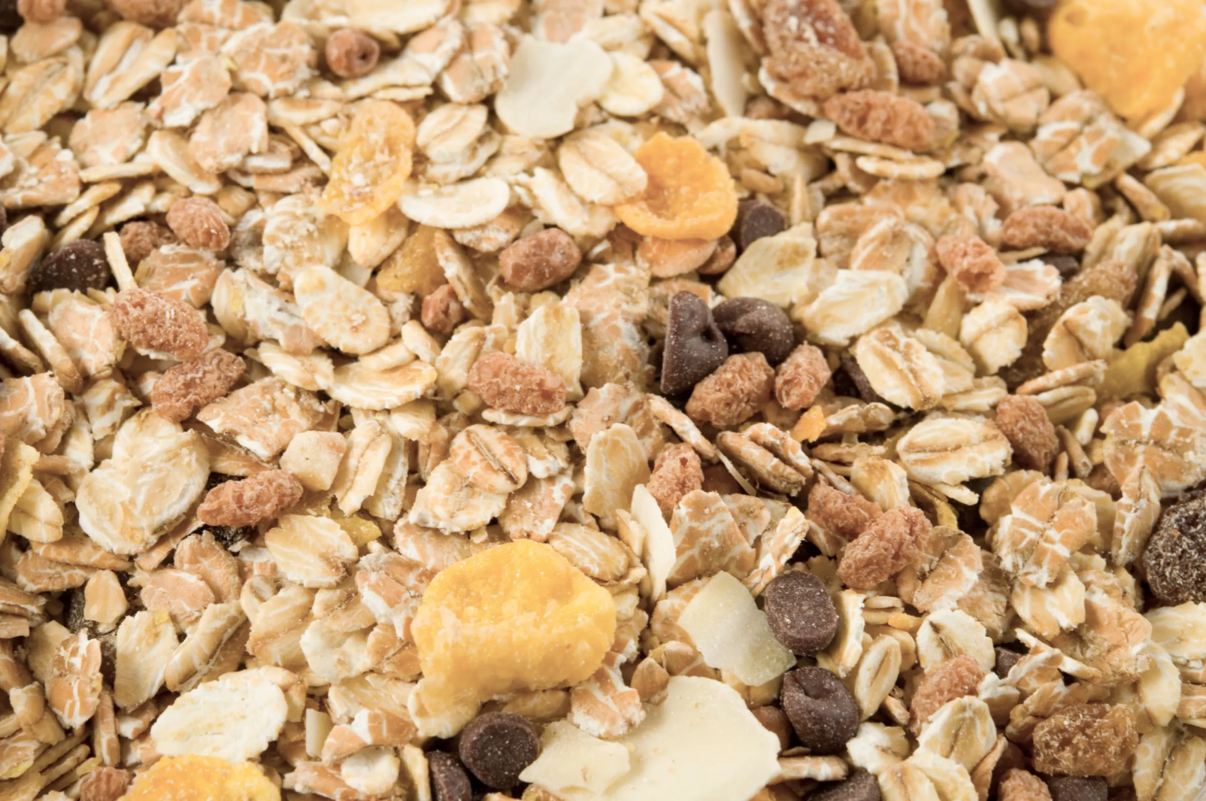 Drying plants for cornflakes, cereals