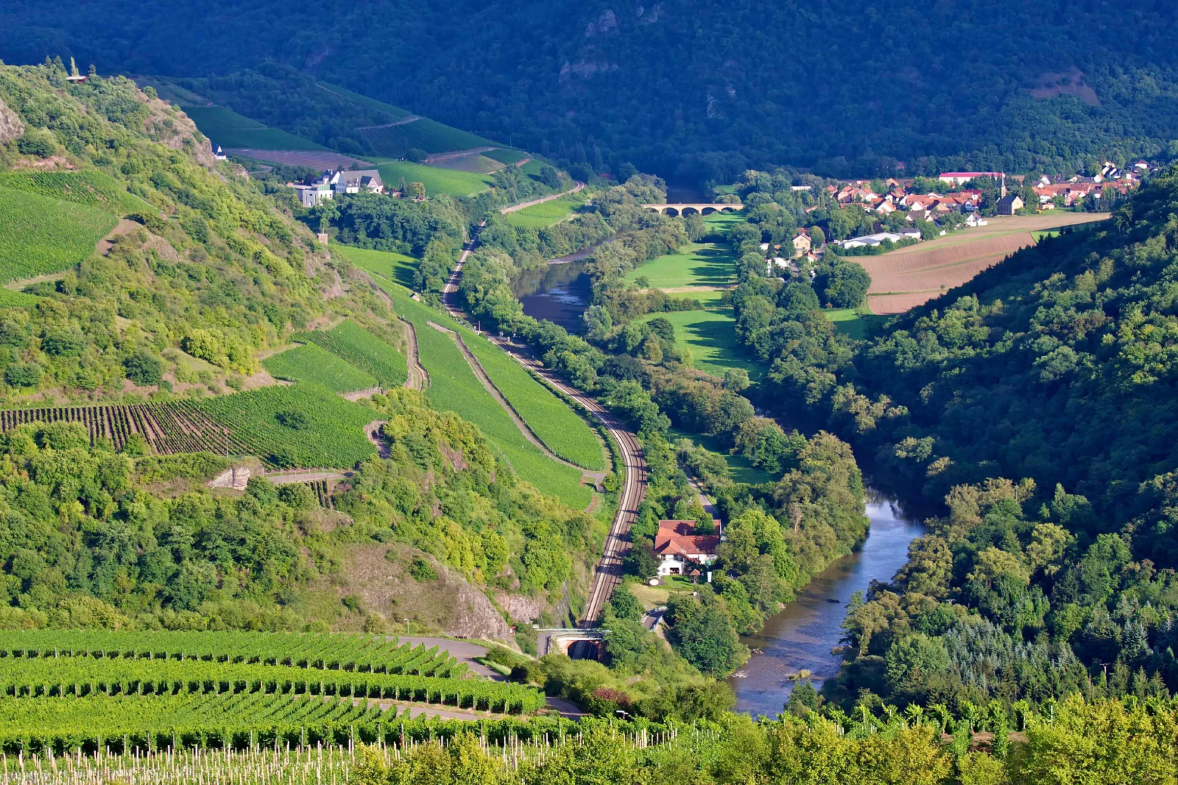 View from our Pinot vineyard into the Nahe valley