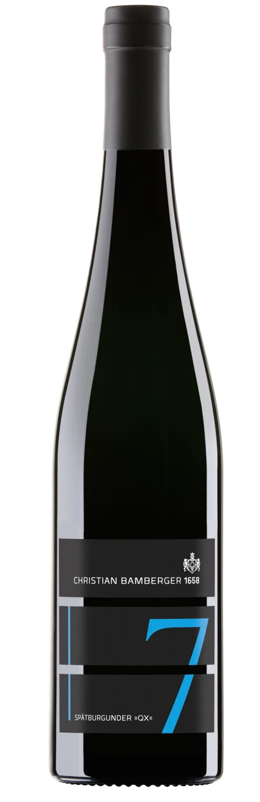 2022 Schlossböckelheimer Mühlberg Pinot Noir (Spätburgunder) >>QX<< dry