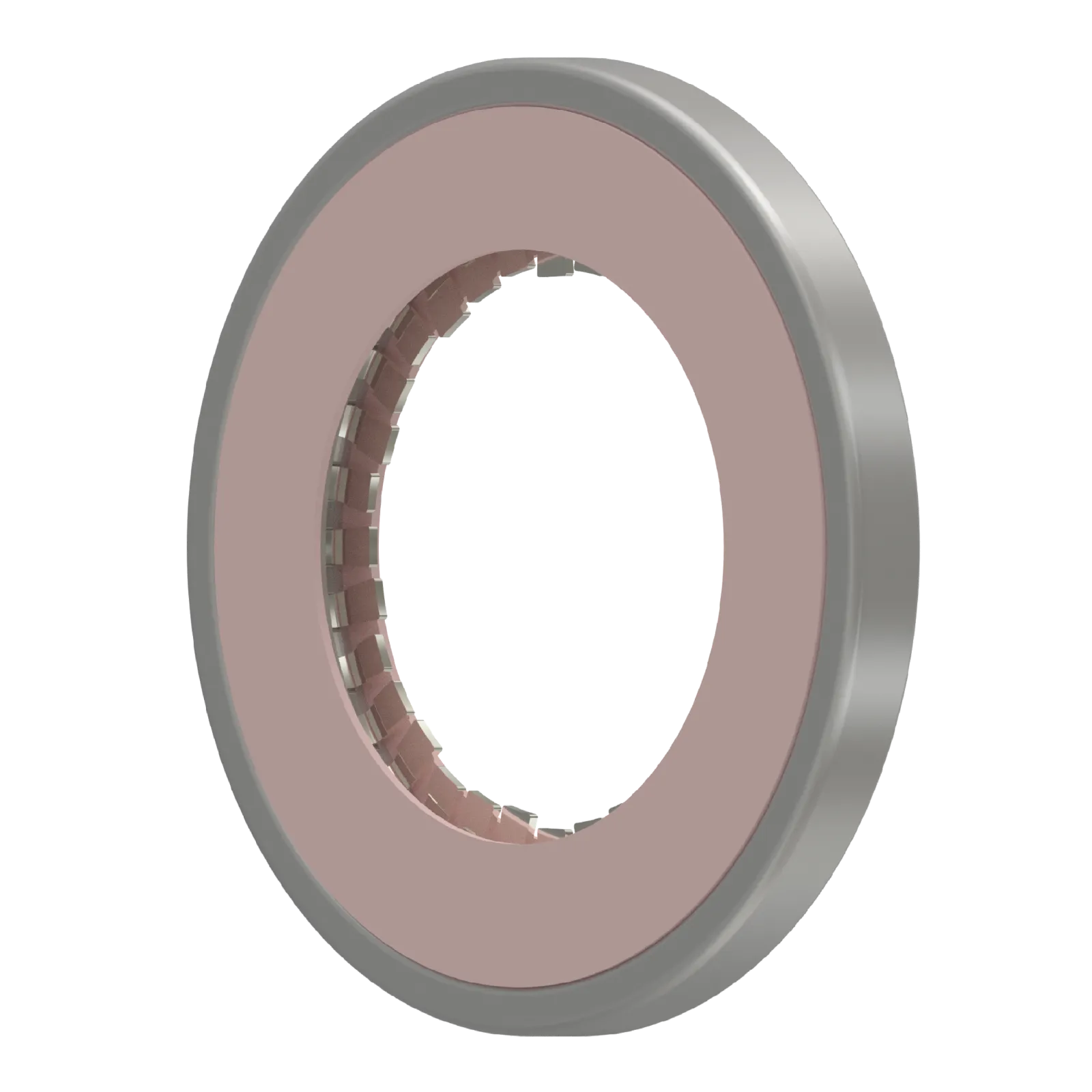 Shaft grounding rings, dry environment Shaft grounding rings, dry environment