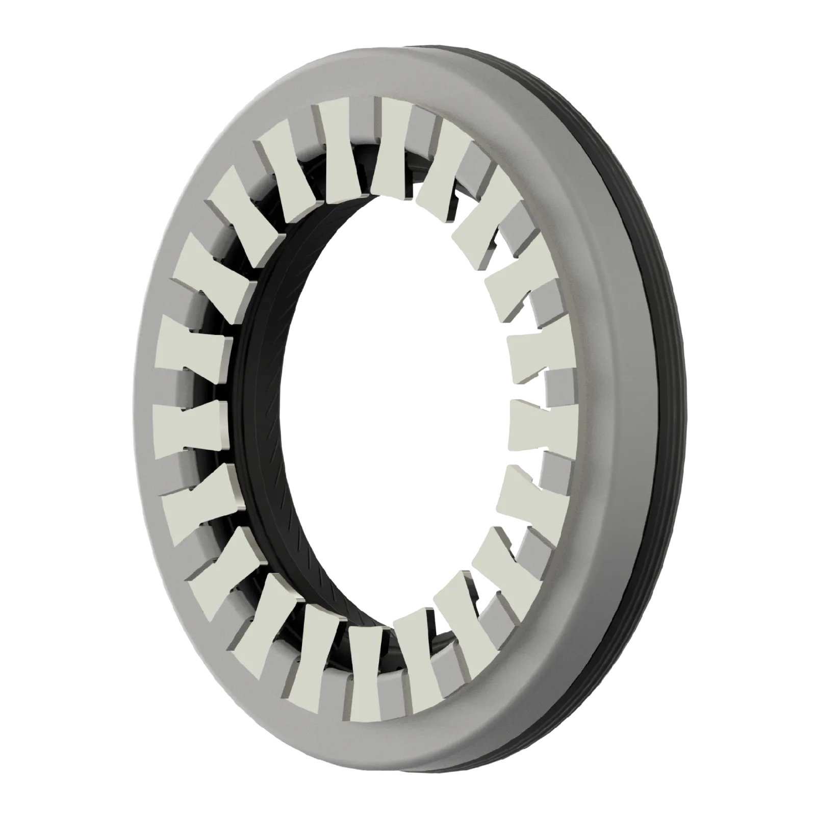 Combination ring of shaft grounding and radial shaft seal