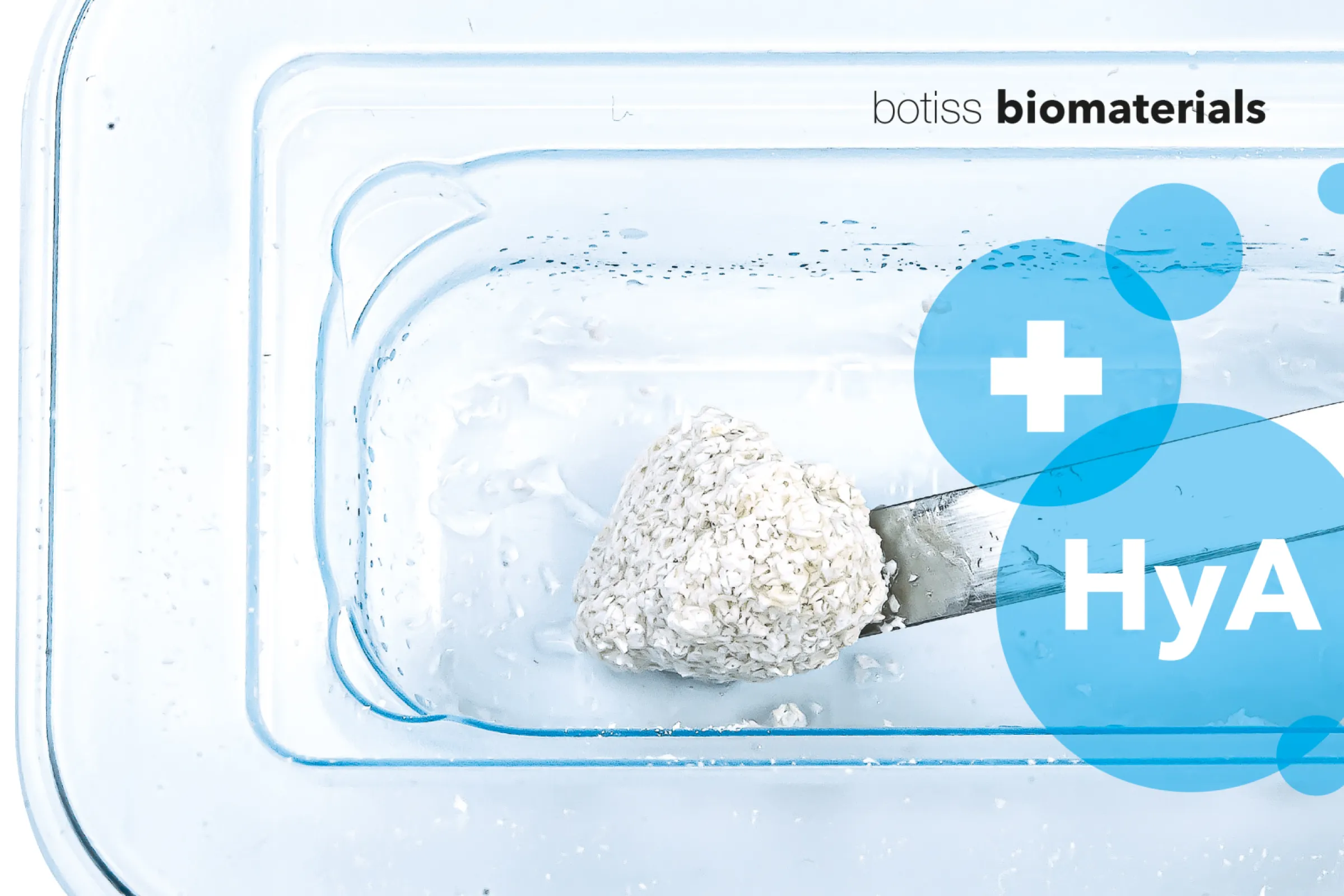 cerabone® plus – sticky bone out of the blister. ENHANCED VASCULARIZATION AND PROLIFERATION. by botiss.