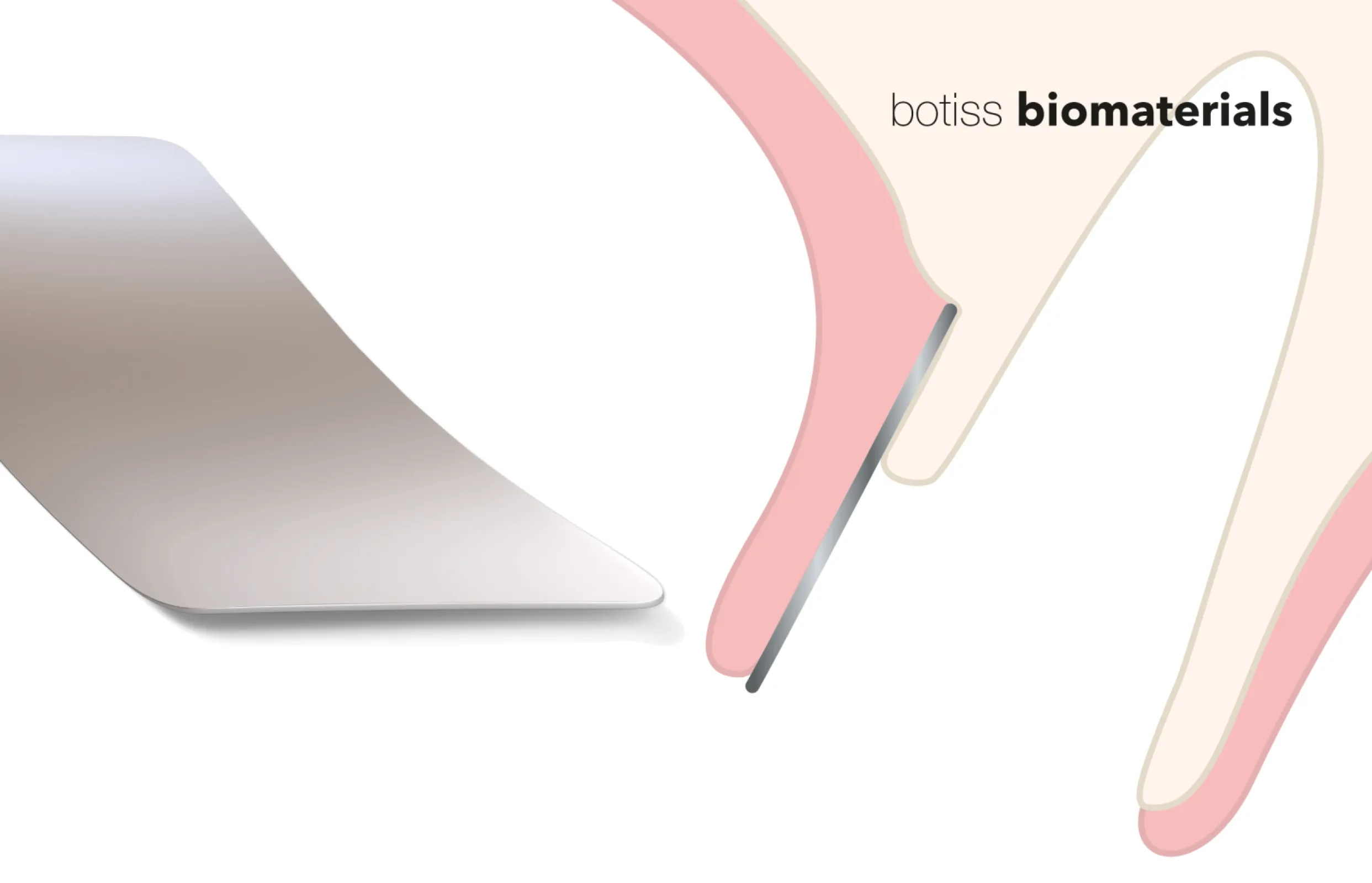 SHIELD FROM MAGNESIUM – ONE OF THE ESSENTIAL BIOFACTORS FOR BONES