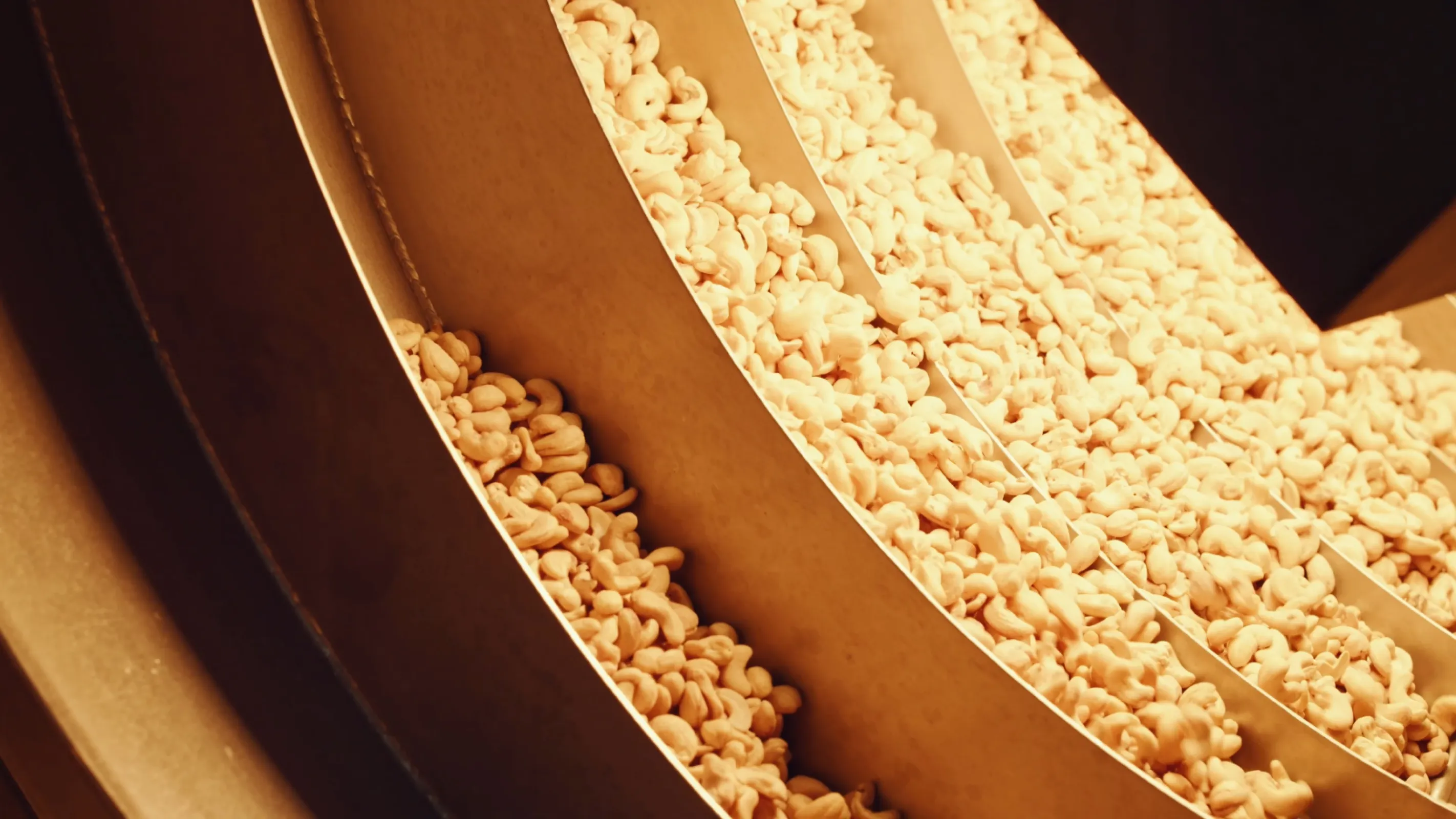 With infrared technology we treat a wide range of foods such as spices, herbs, nuts (photo cashews), seeds, tea, dried vegetables, dried fruits, etc.