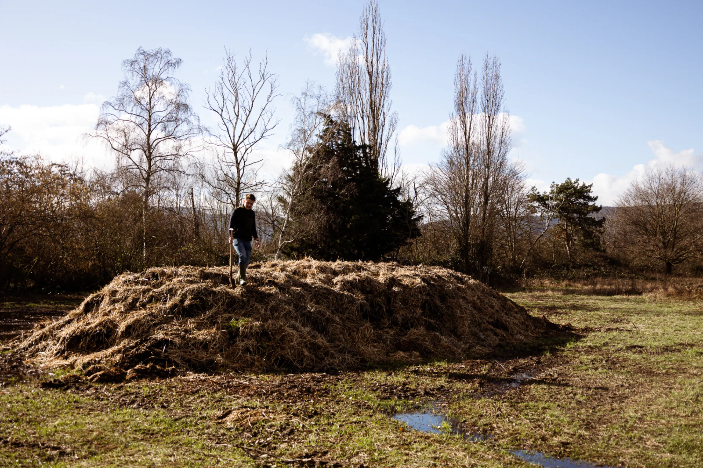 Compost as a natural fertilizer for our vineyards