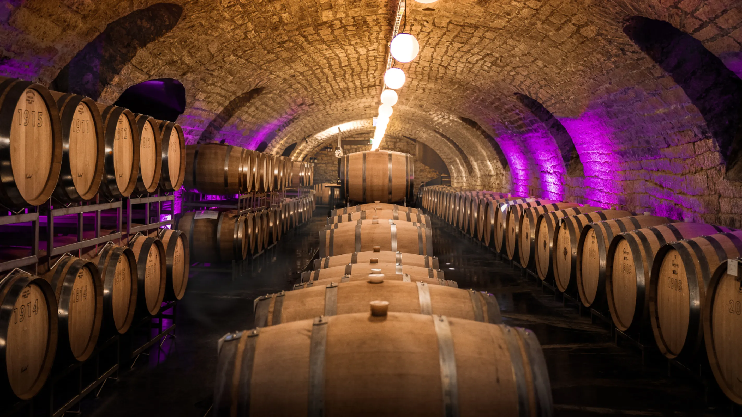 The heart of the winery: our historic cellar