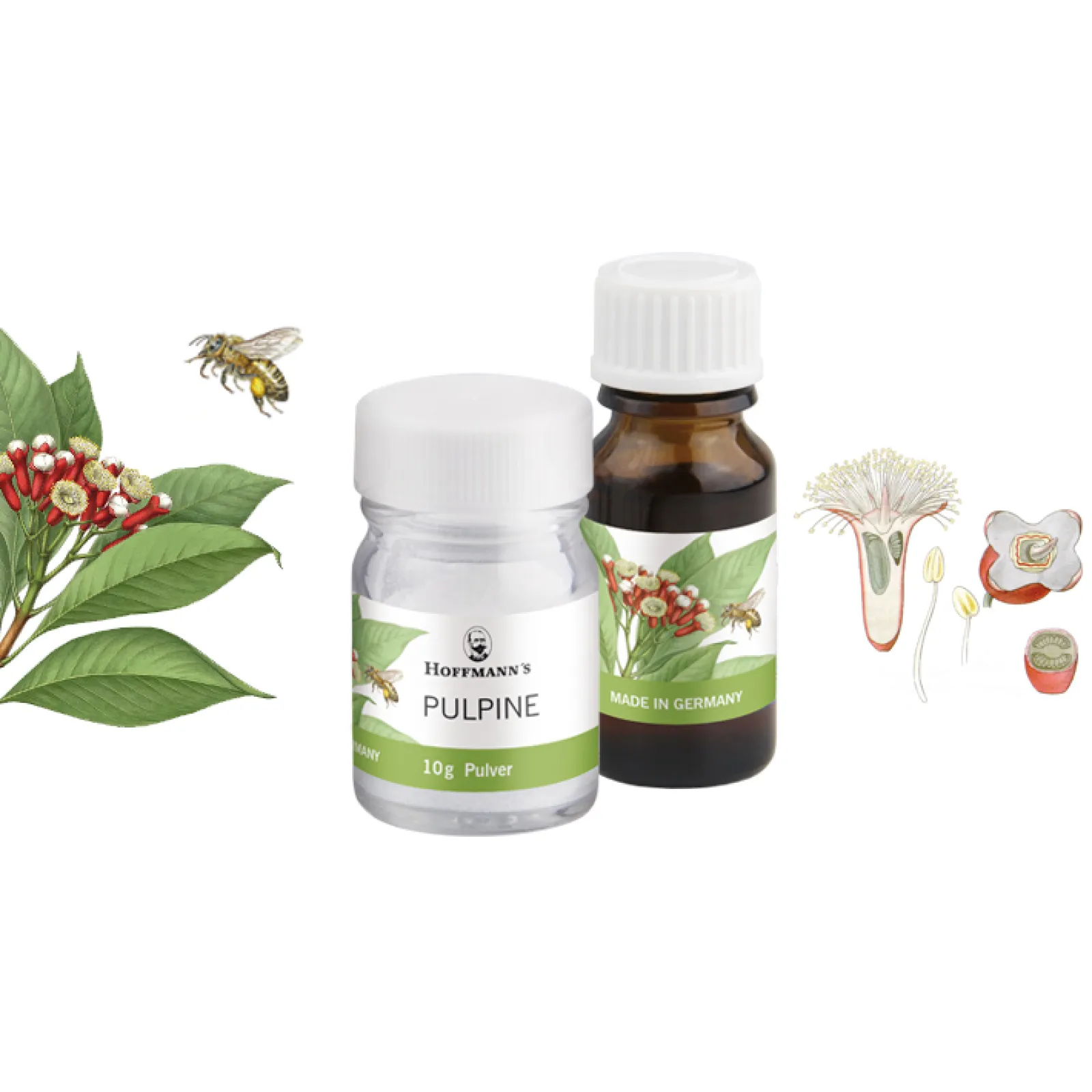 Hoffmann´s Pulpine with Eugenol (natural clove oil) & Propolis (collected by bees) based on Calciumhydroxide for direct and indirect pulp capping