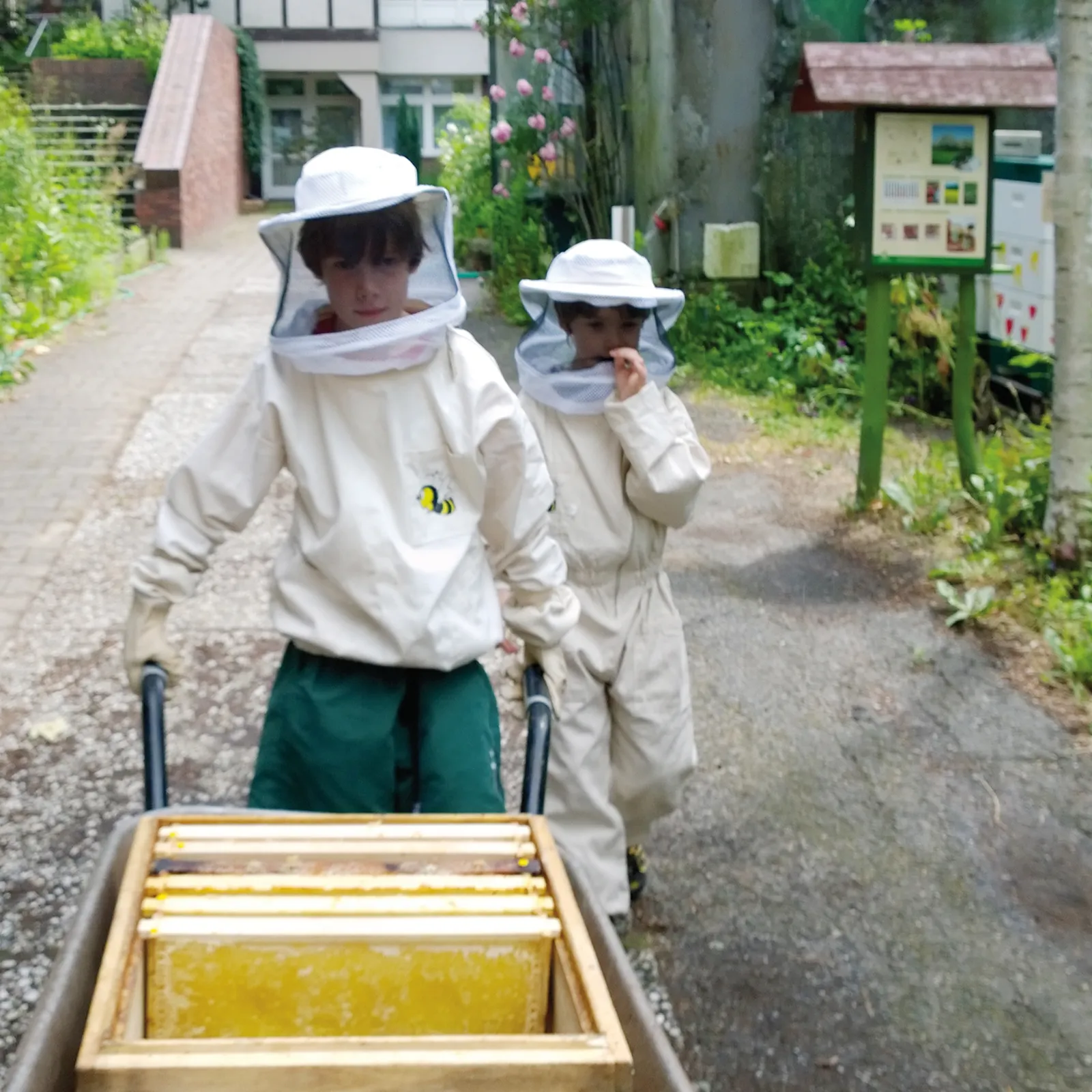 Bee Keeping is a craft which is enjoyed by all members of the Hoffmann family.