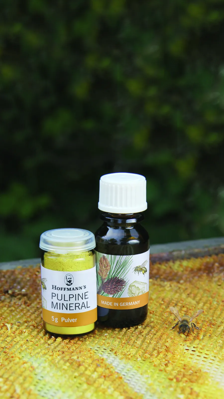 Propolis is being used by Hoffmanns in three different formulas for pulp capping, with or without Eugenol