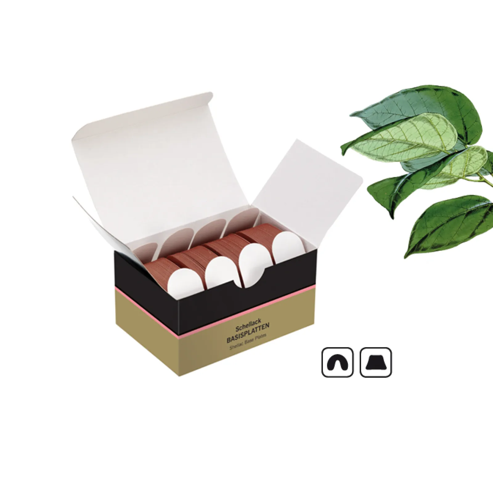 REF 8282104 Hoffmanns Shellac Base Plates Box with 100 plates 50 upper jaw + 50 lower jaw