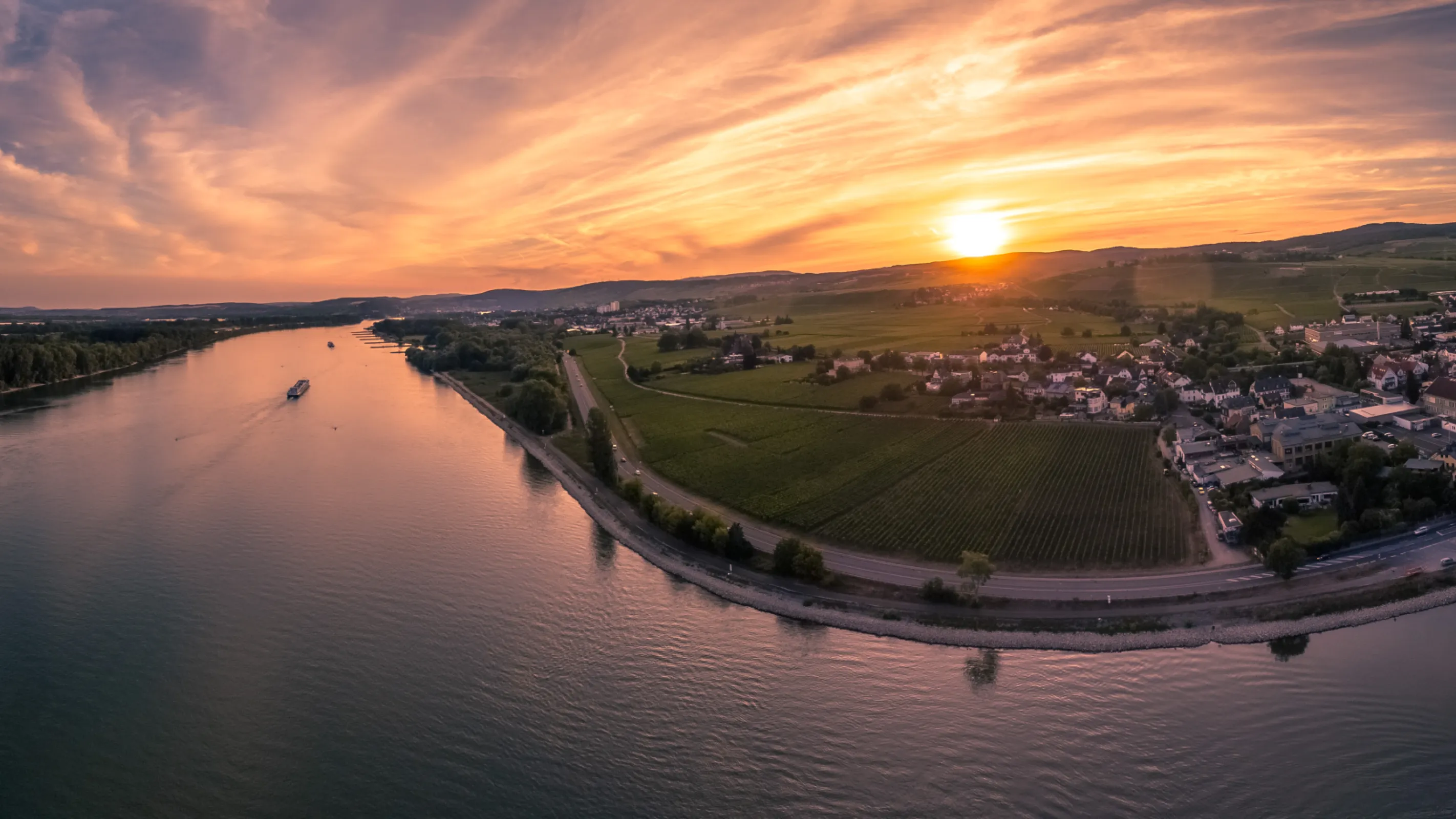 The Rhine & the Vineyards of the Grand Cru Jesuitengarten