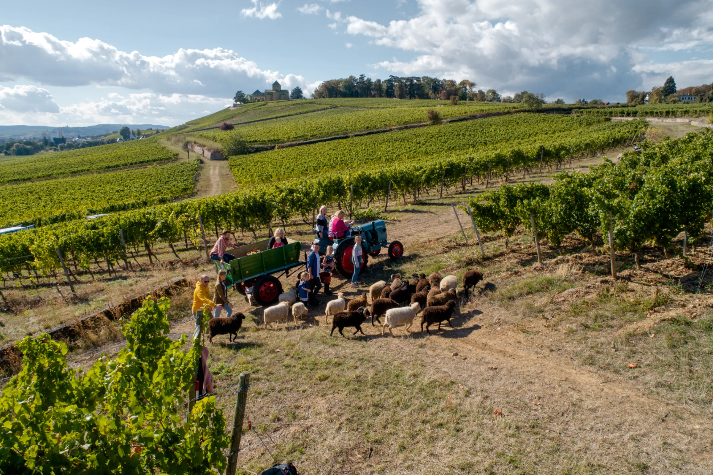 Our family’s passion, crafting great wines together