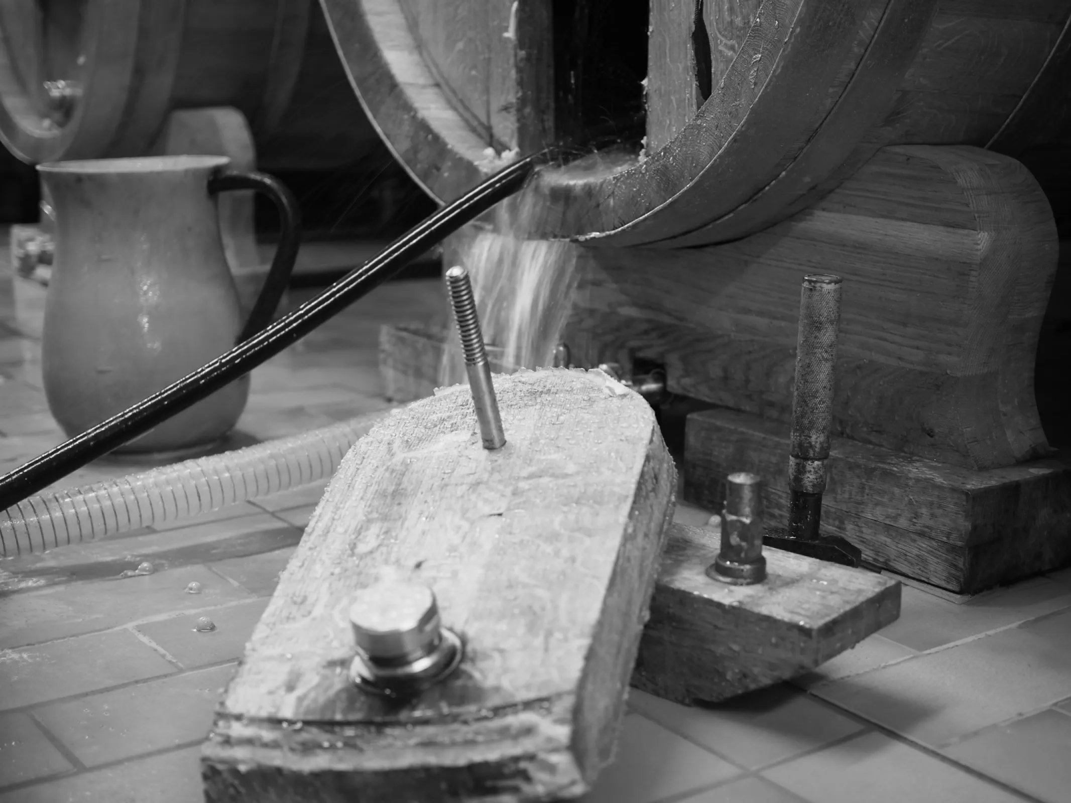 Authentic craft – wines with personality