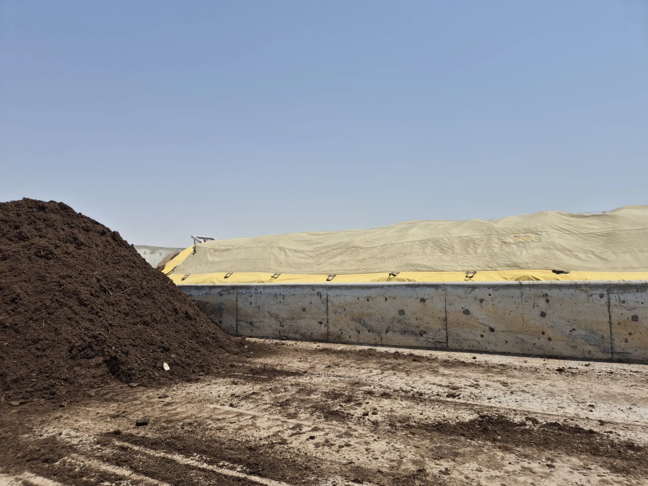 Composting in Qatar
