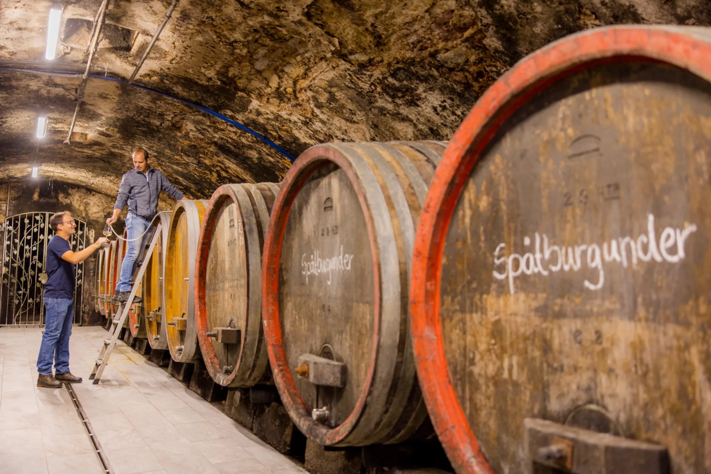 Daniel and Stefan Huff in the winecellar