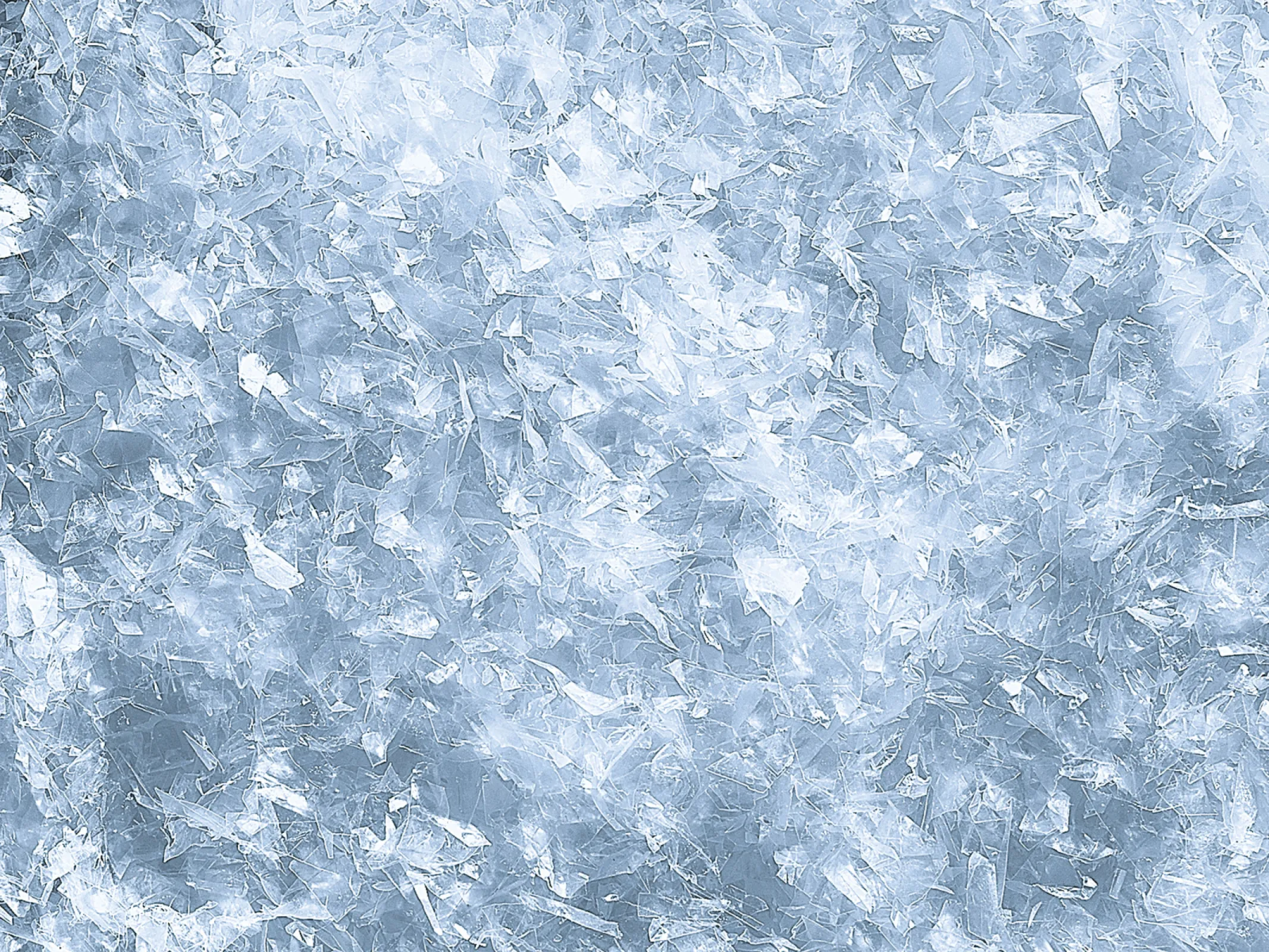 Film recycling | 12mm PET-G