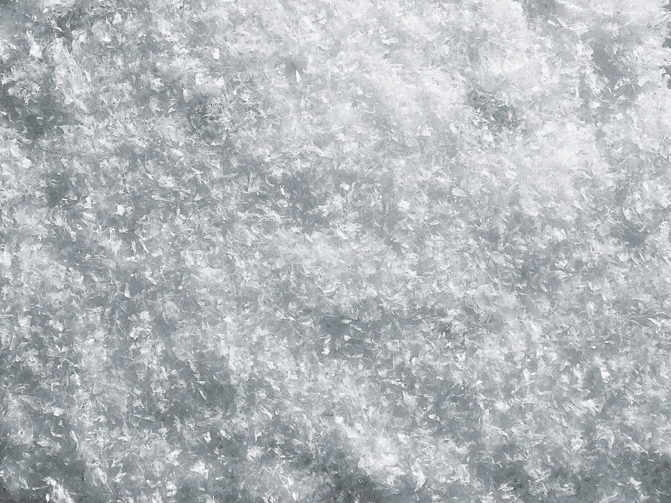 Film recycling | Plastic Flakes_4mm-BOPP Flakes