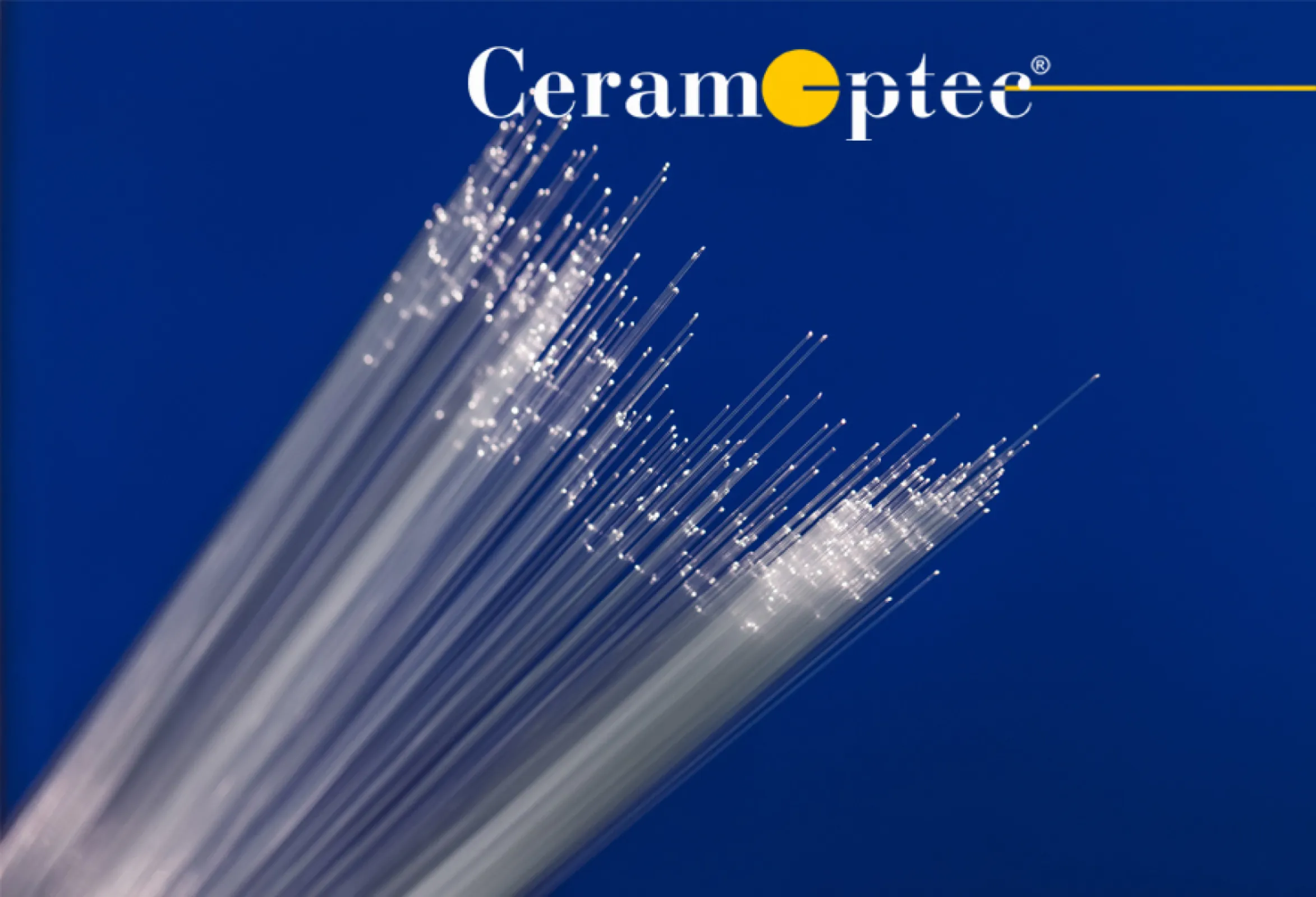 Specialty Fiber Optics