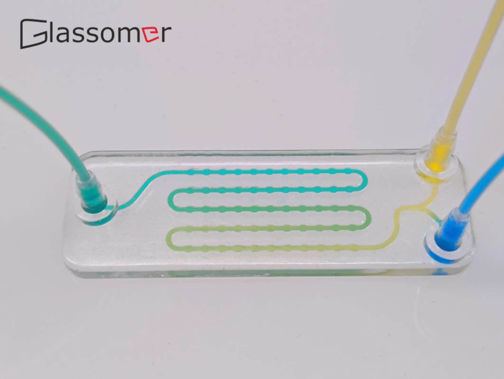 Microfluidic Glass Chips